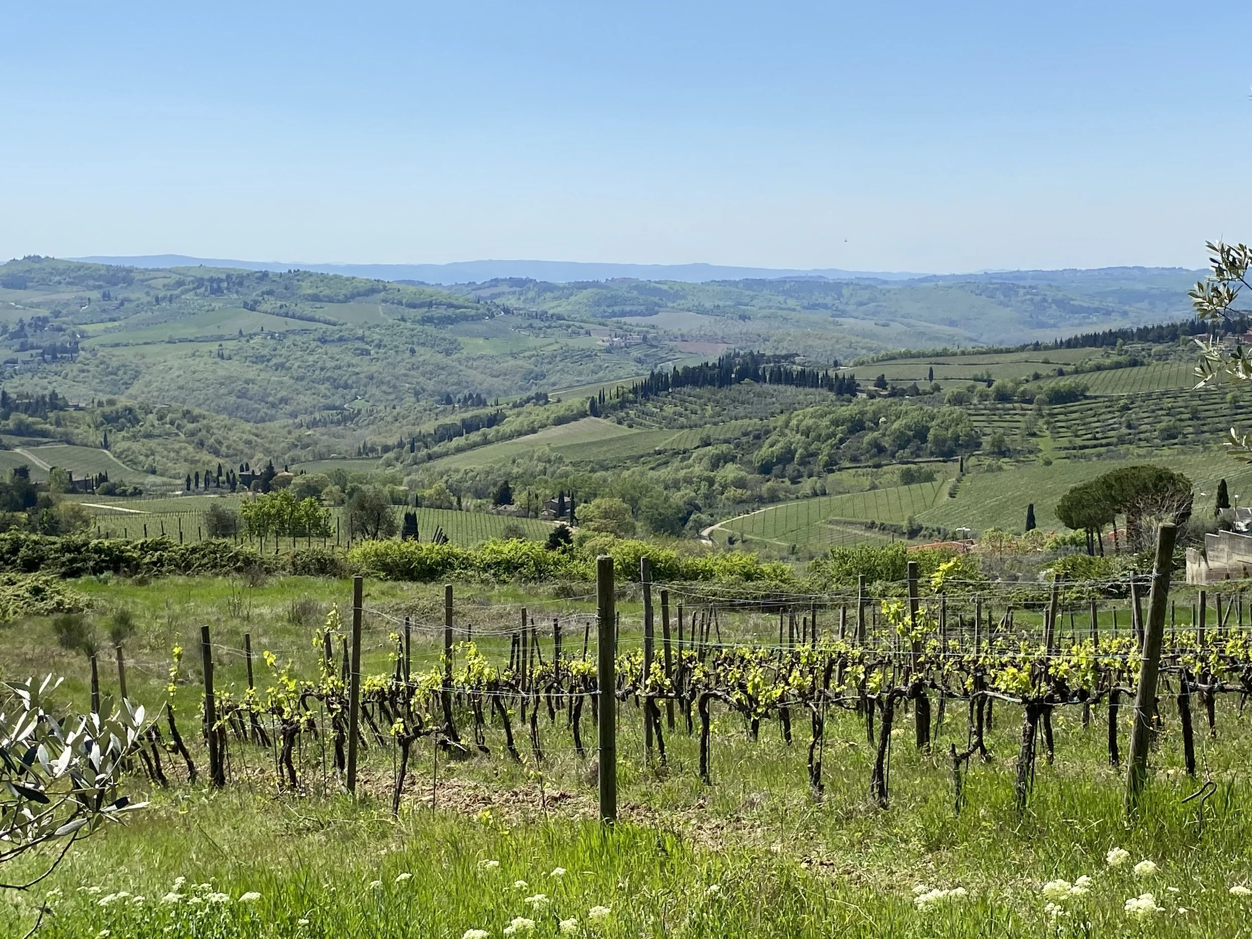 Invented Food Identities: Entangled Migrations and Representation of the Chianti Landscape