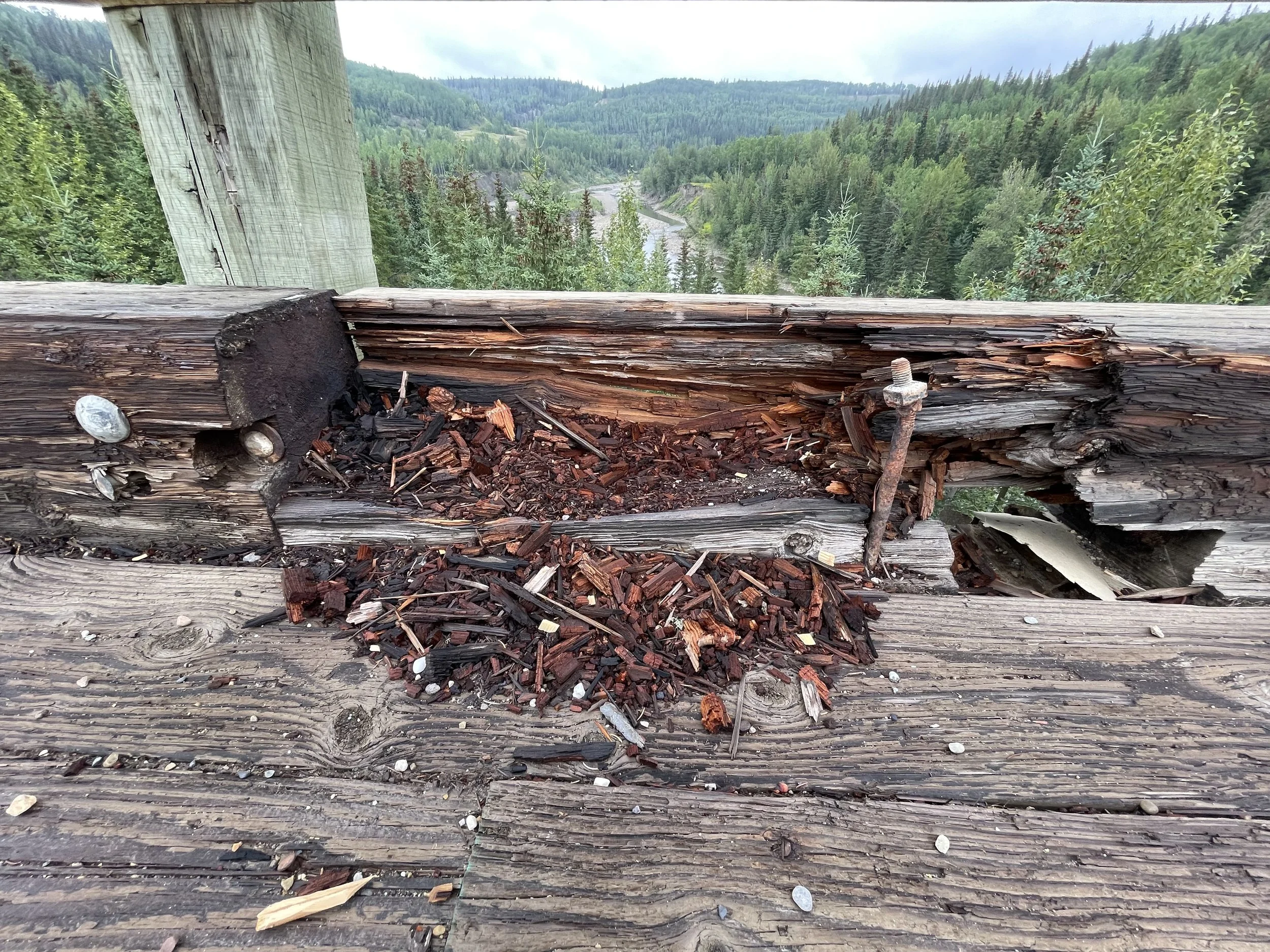  Figure 3. Exposed nails jut out every which way. Photograph by Desiree Valadares, 2023. 