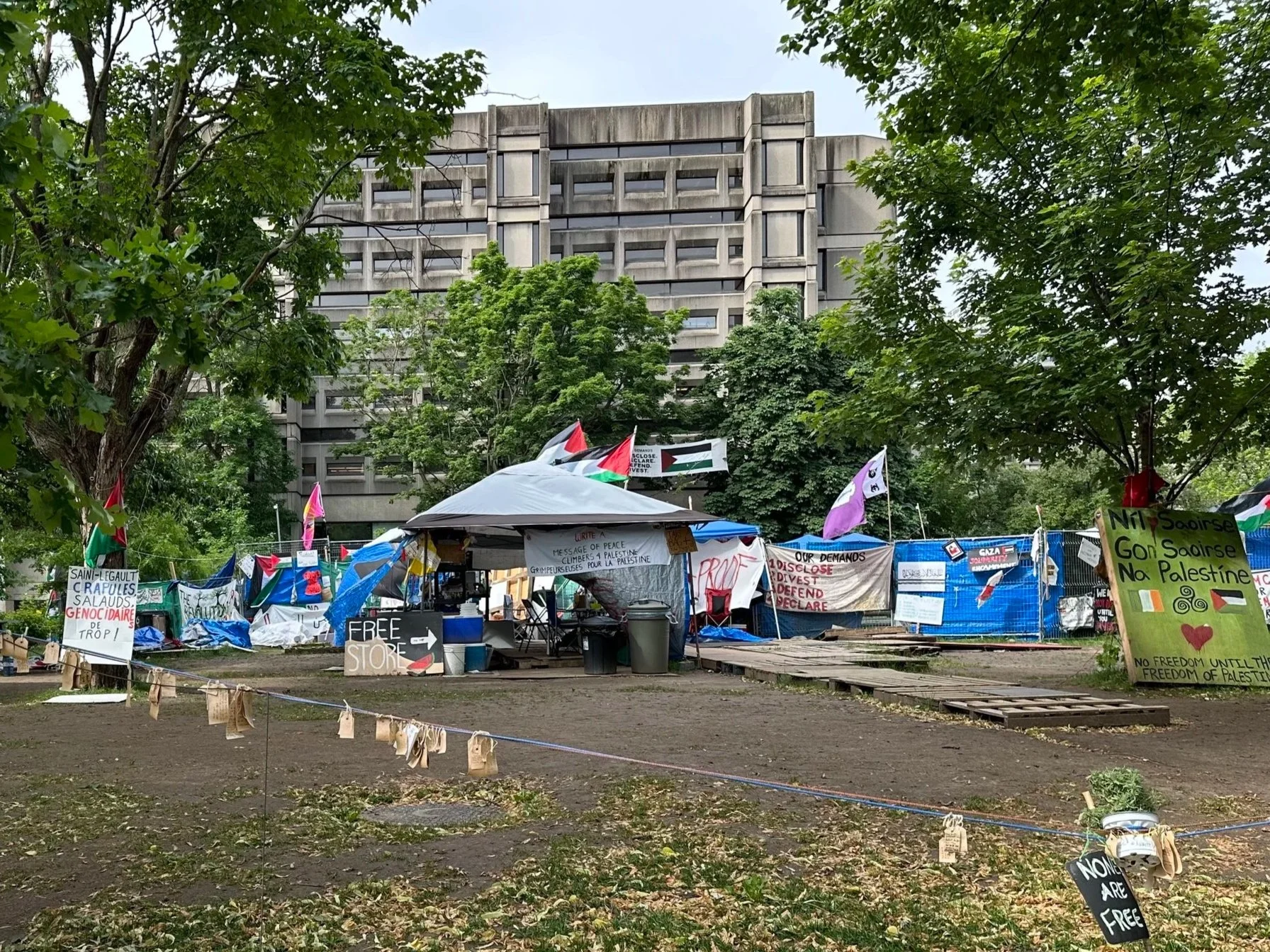 The Home Front: Campus, Control, and Tent Protests