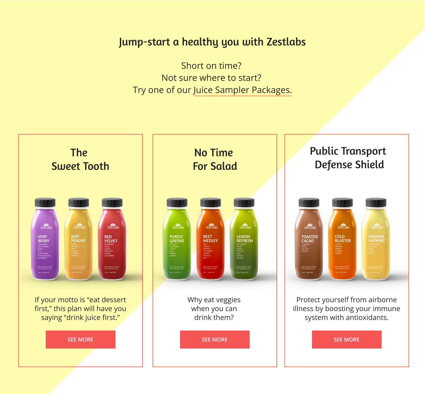 Zestlabs_Portfolio_05.png