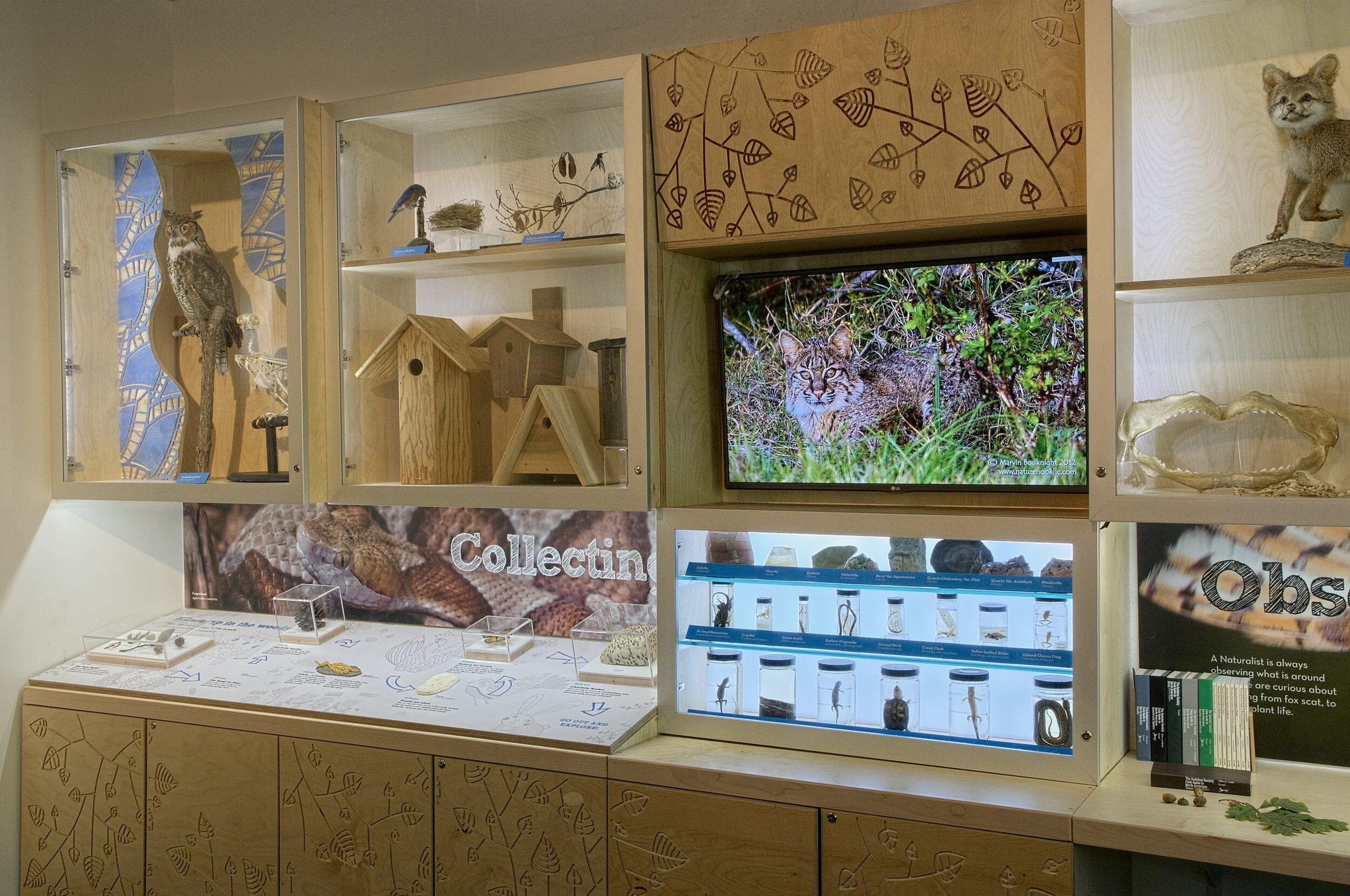 DPN Naturalist 03 web.JPG