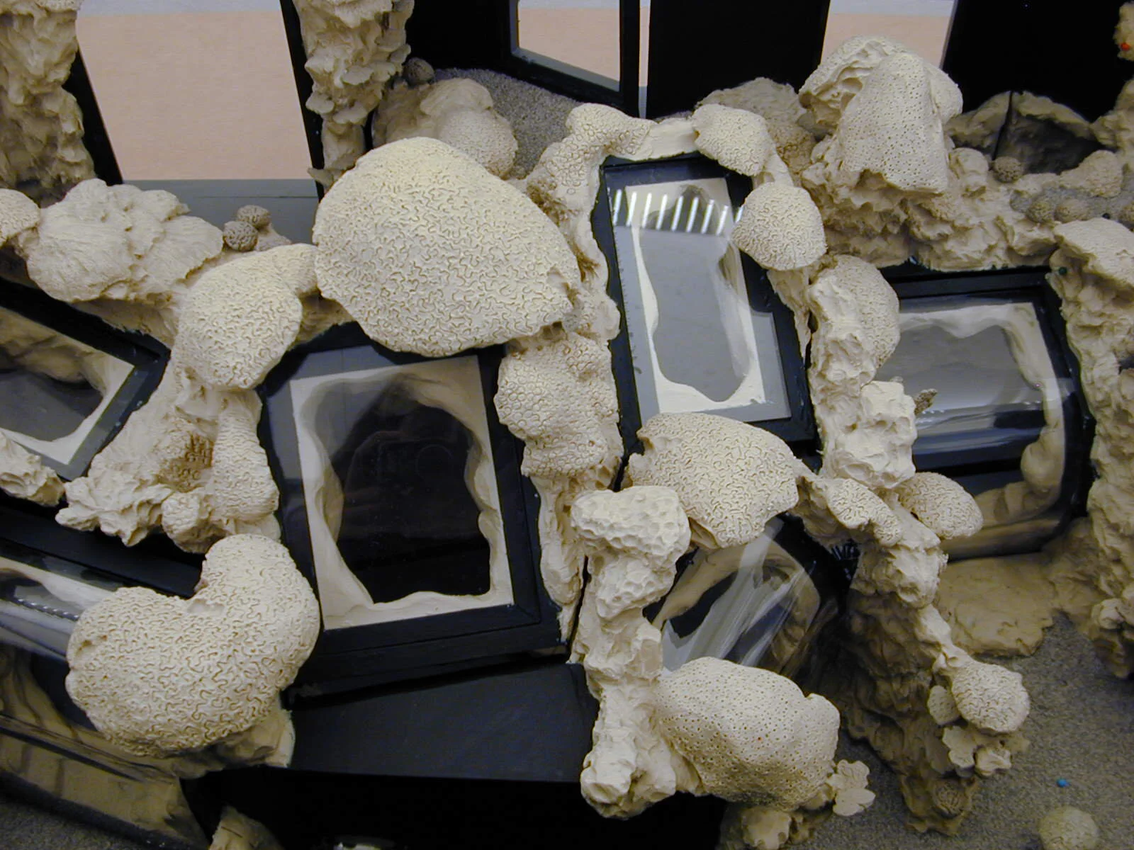 TNAQ CLAY DETAIL.JPG