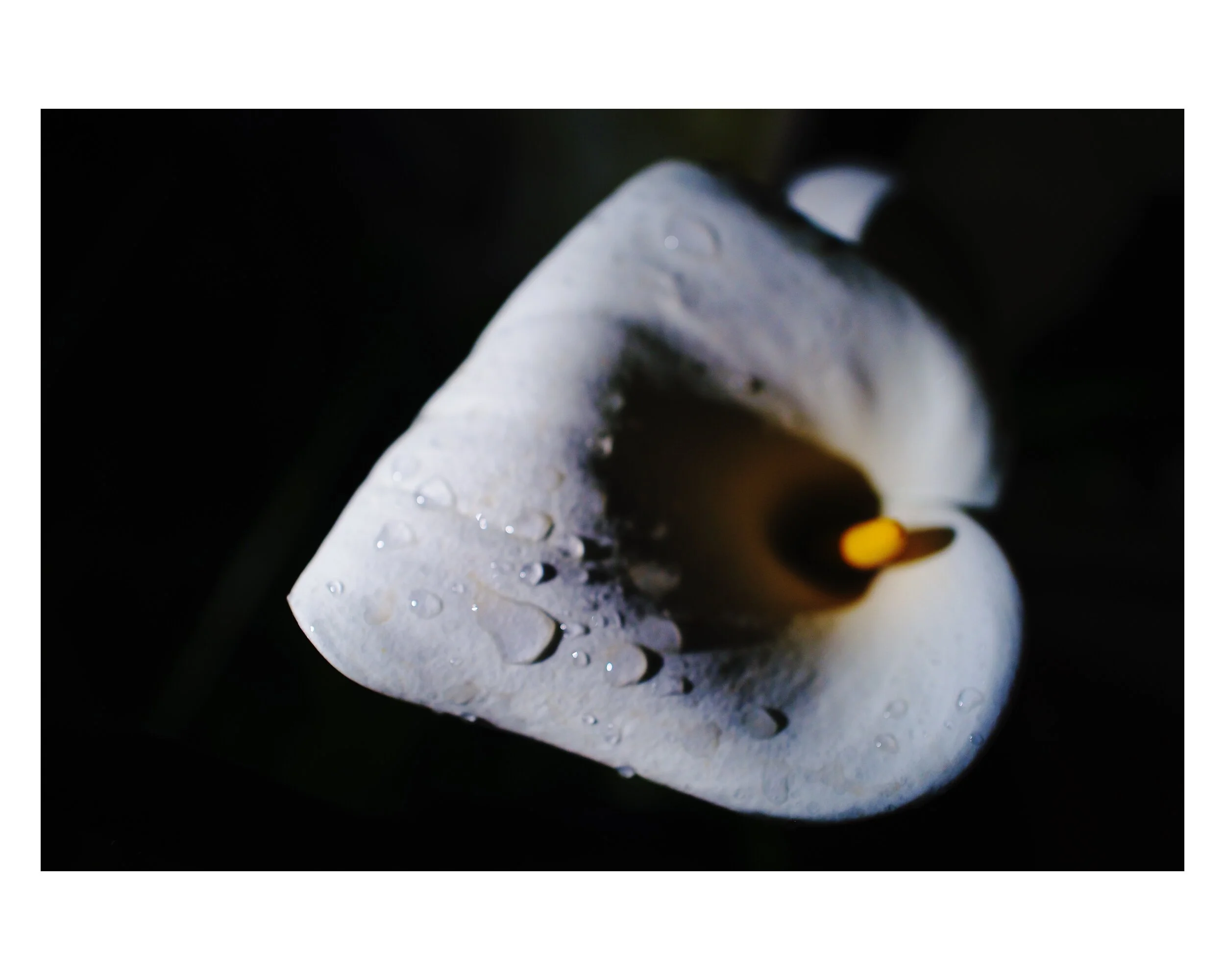 DO1010646 Edited.JPG