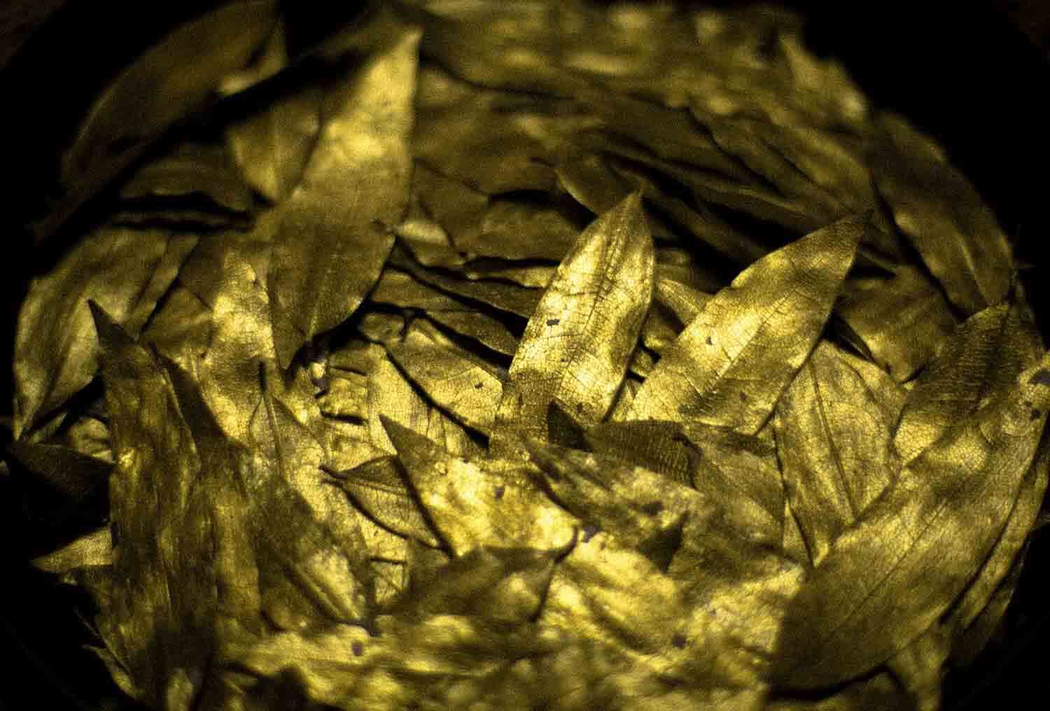 web_bowl-of-gold-leaves.jpg