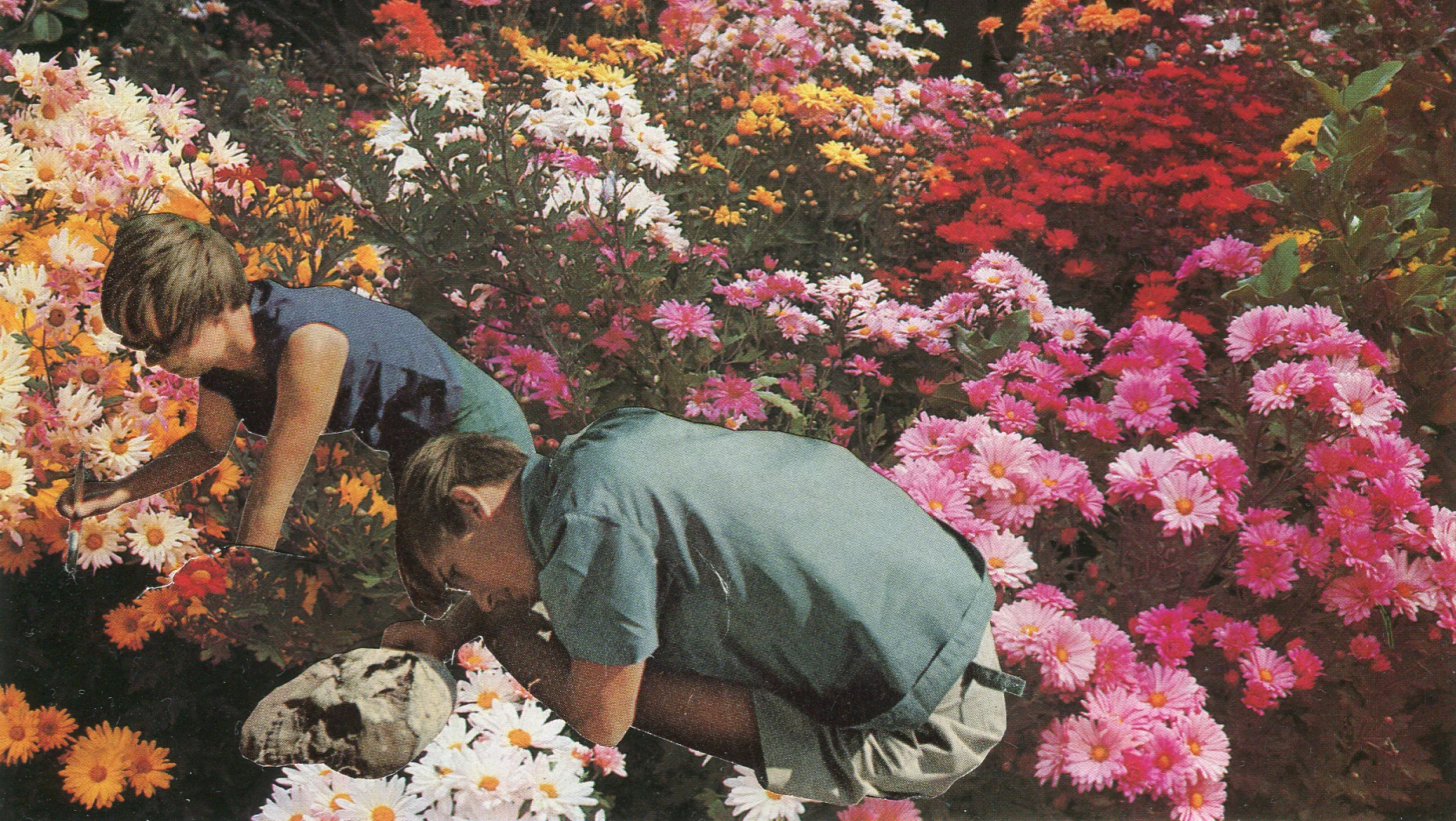 Flowerbed Eternal Rest, 2016
