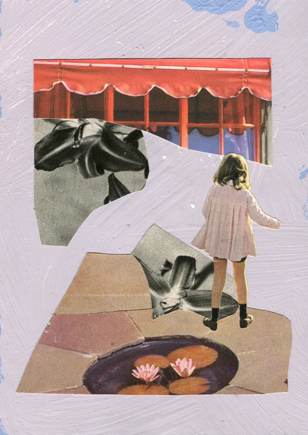 Summer in Launceston, 2016