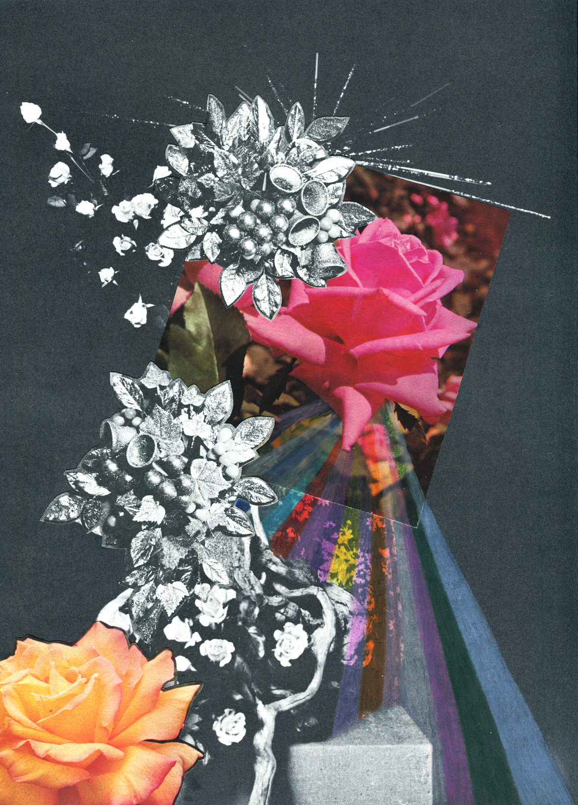 Rainbow Rose Garden #6, collage, found paper, pencil