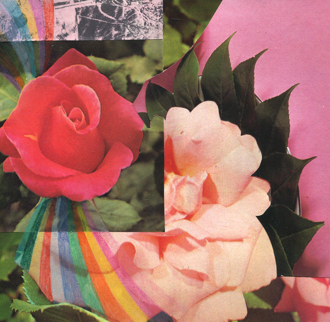 Rainbow Rose Garden #8, collage, found paper, pencil