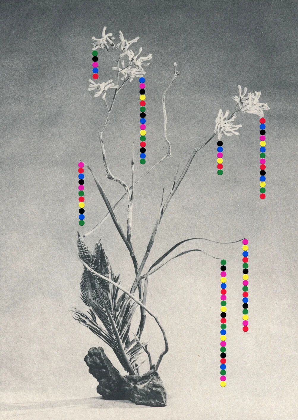 Drips #12, 2019, collage, found paper, dot stickers