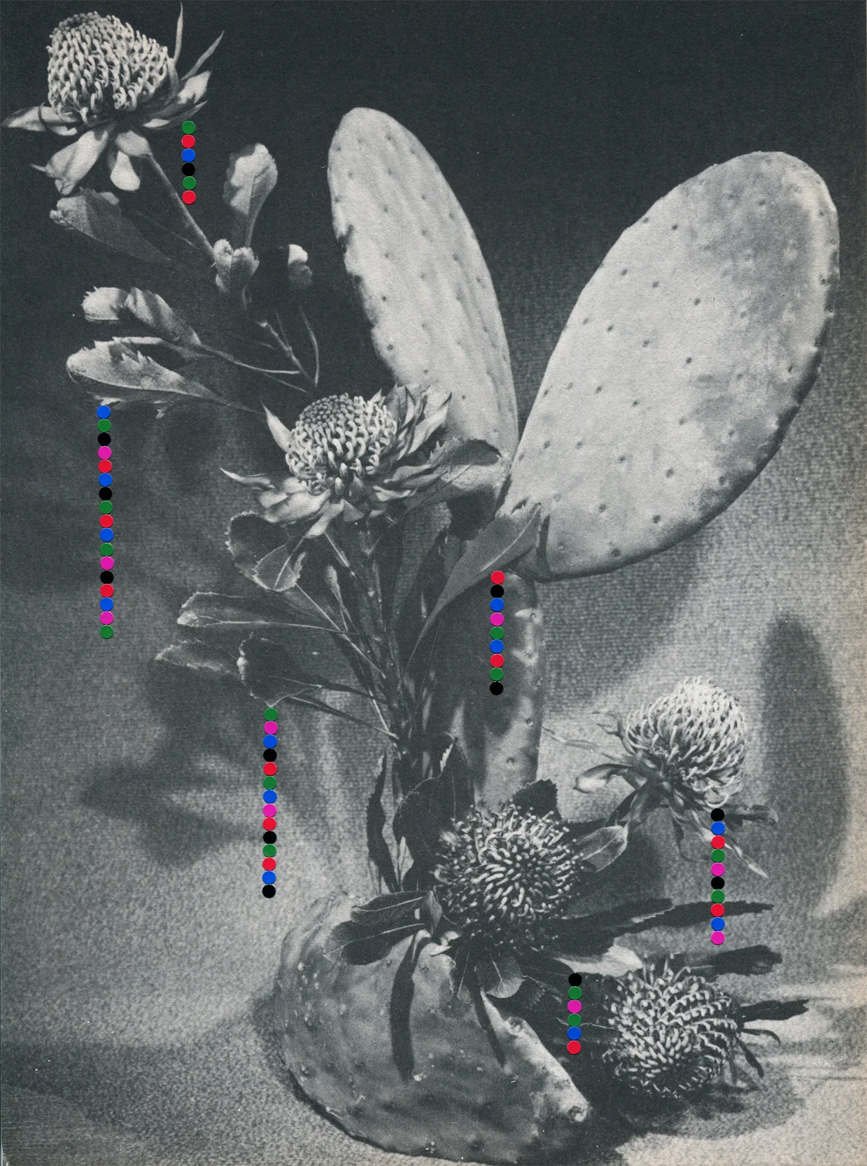 Drips #11, 2019, collage, found paper, dot stickers