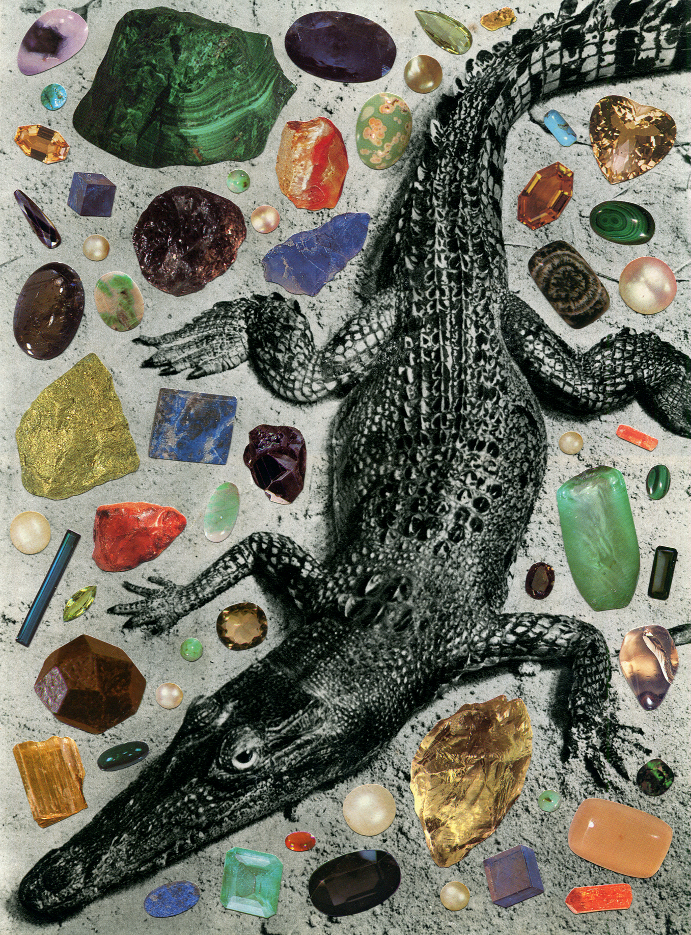 Croc 2_web.png