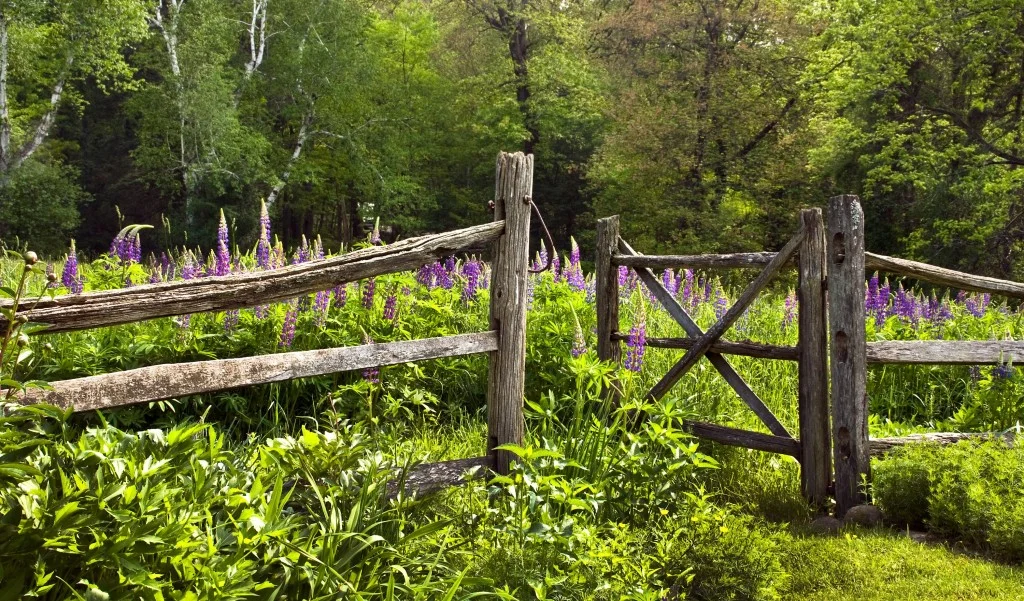 Let the Little Children Come to Me: Part 4