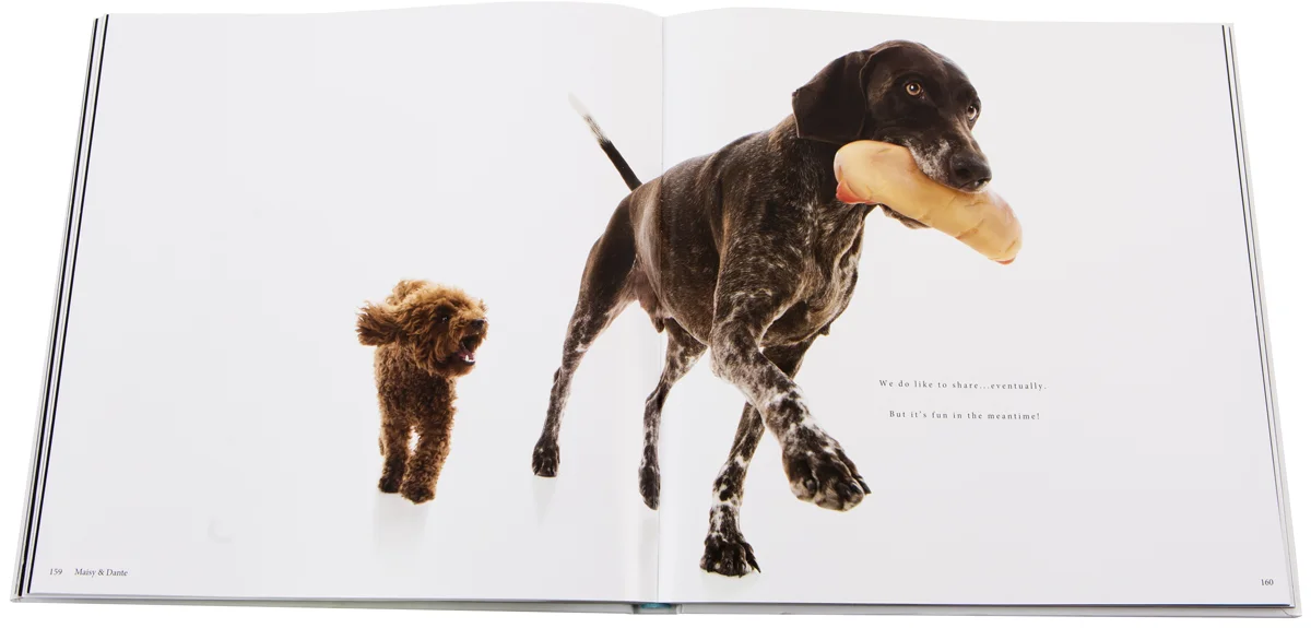 LOVED-Book-Dante-and-Maisy.jpg
