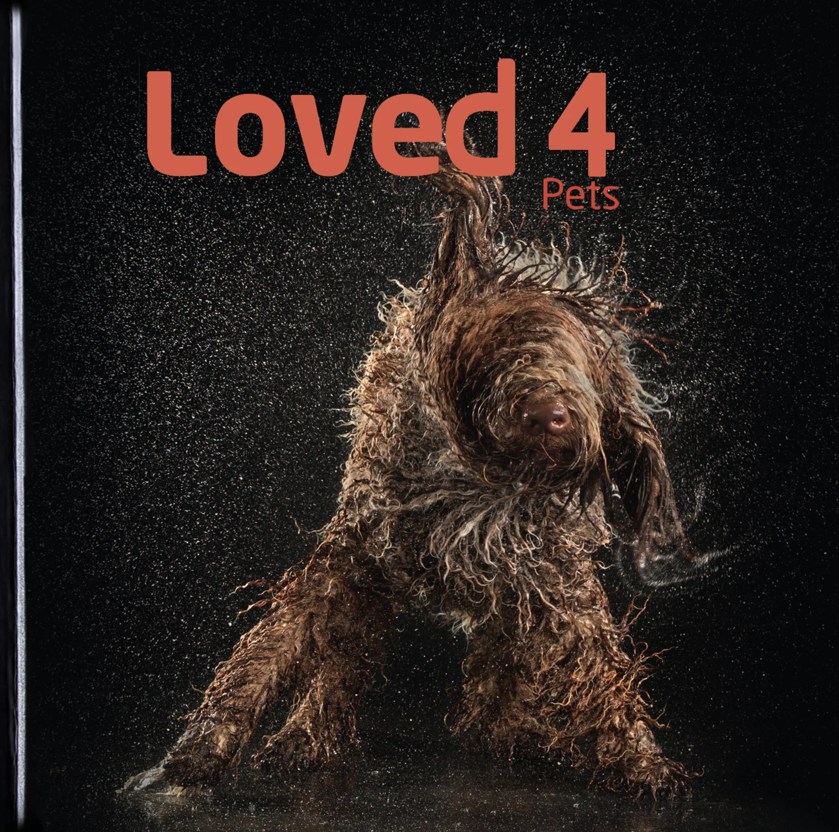 Loved 4 - Charity Coffee Table Book