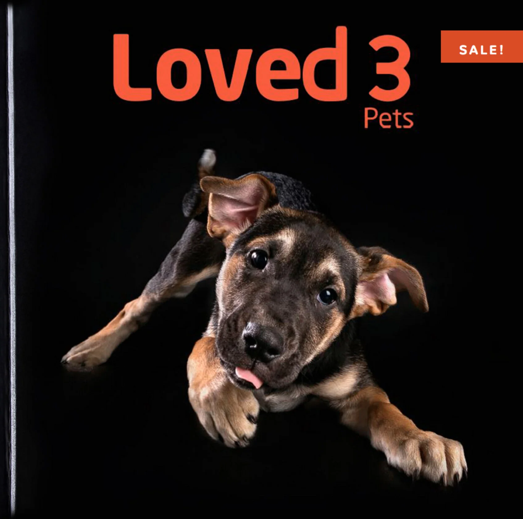 Loved 3 - Charity Coffee Table Book
