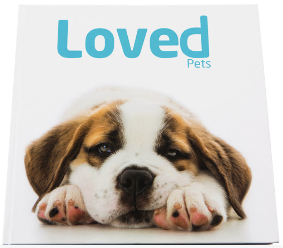 Australian Dog Lover.com.au