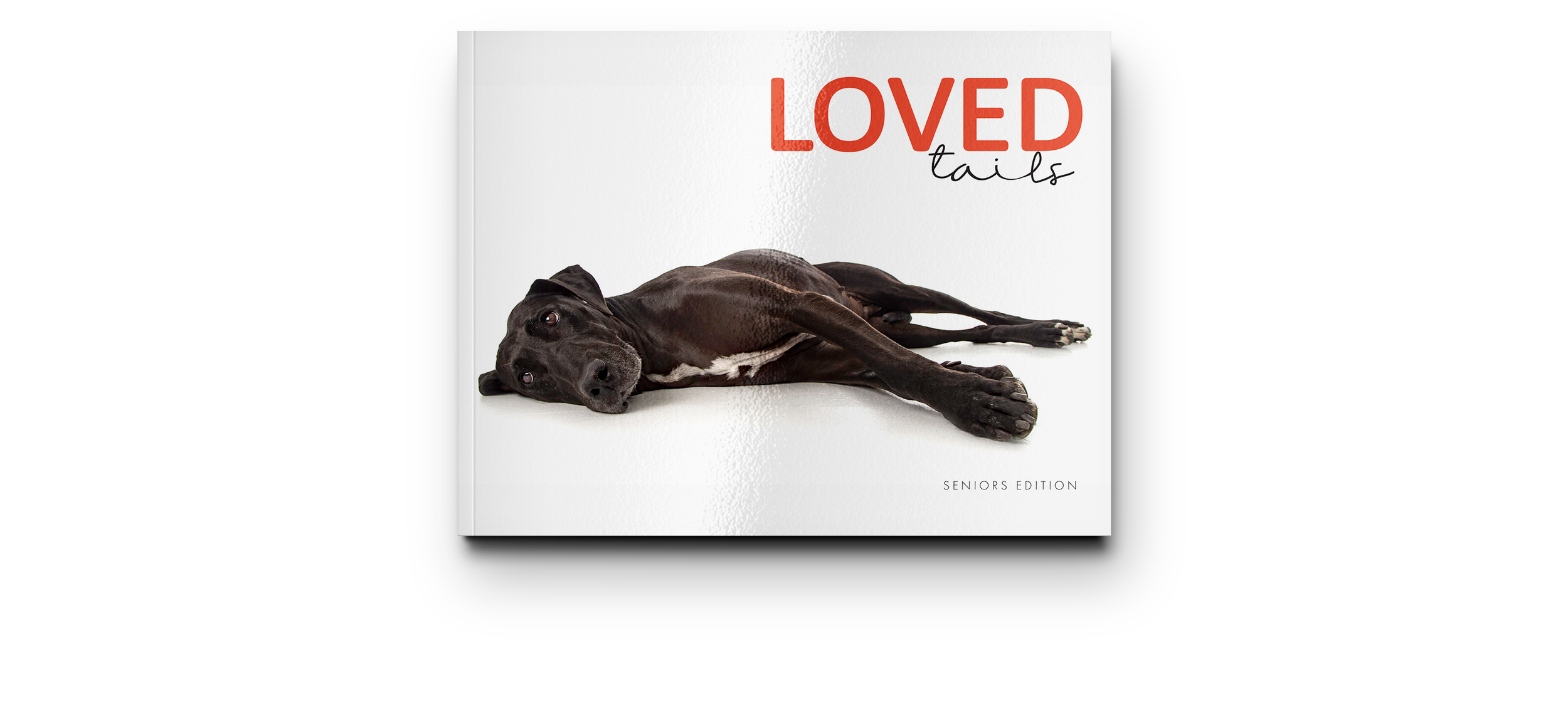 Landscape Magazine Mockup - Cover1.png