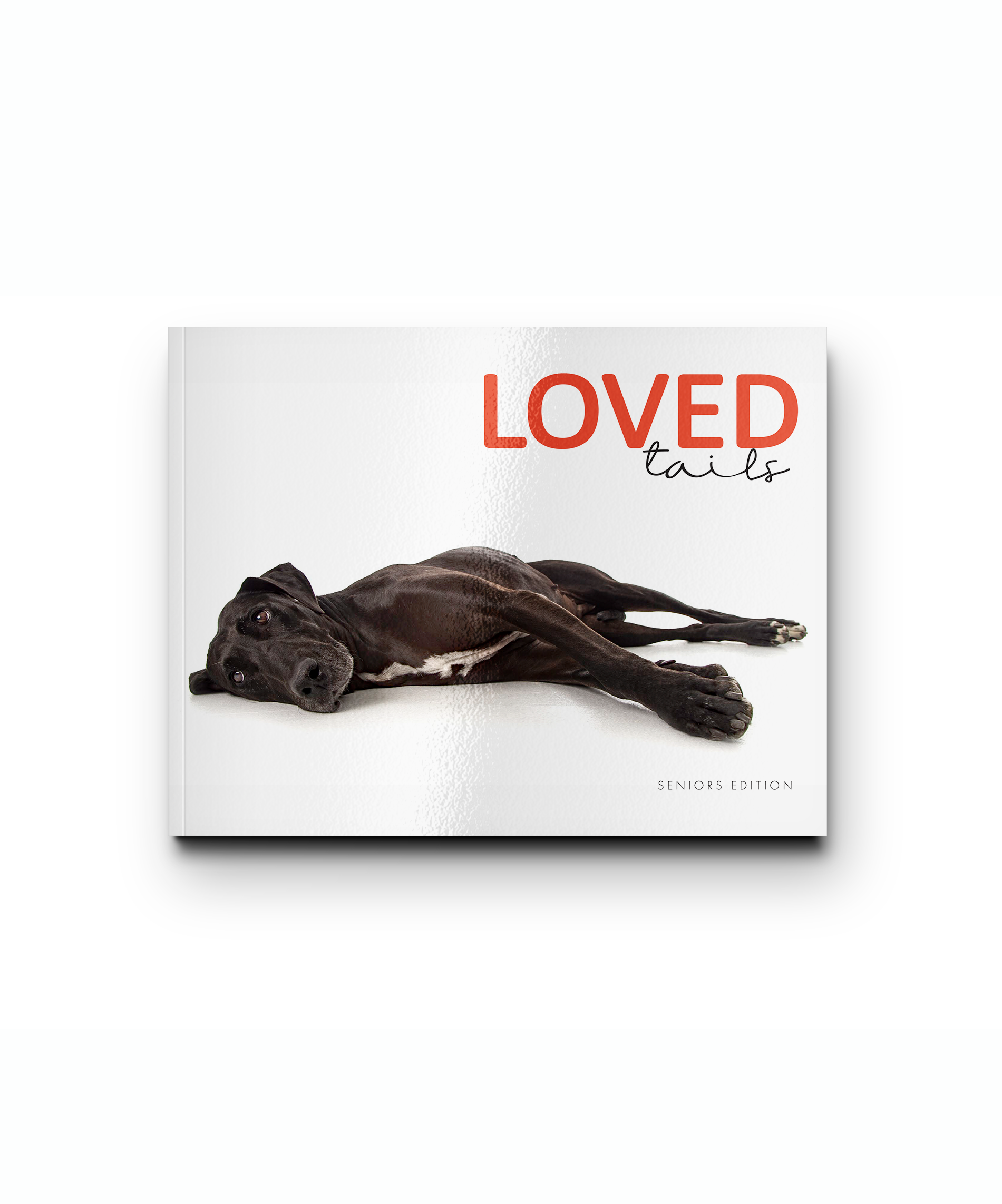 Landscape Magazine Mockup - Cover1 copy.png