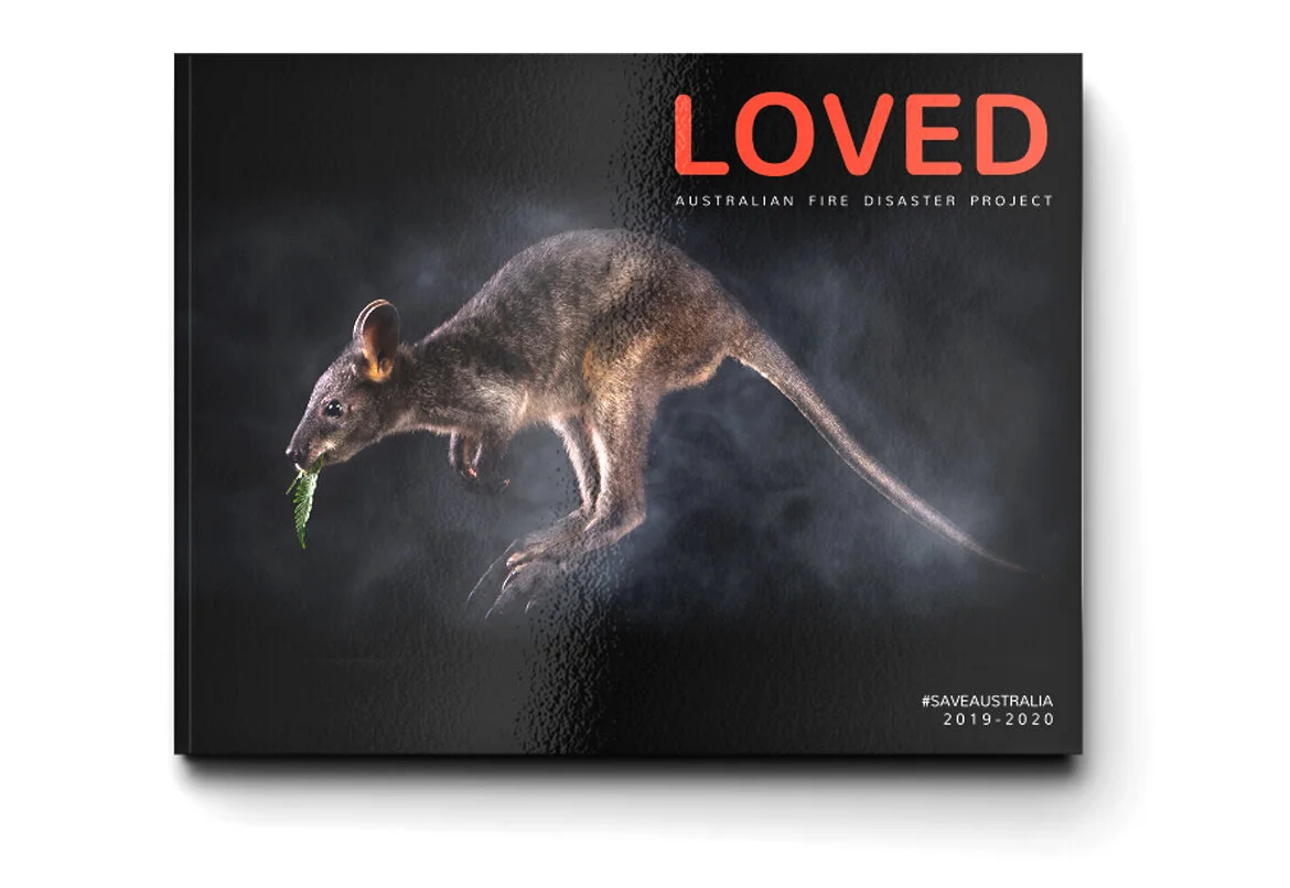 bookcover-saveaustralia.jpg