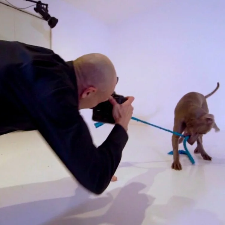 inshoot2.jpg