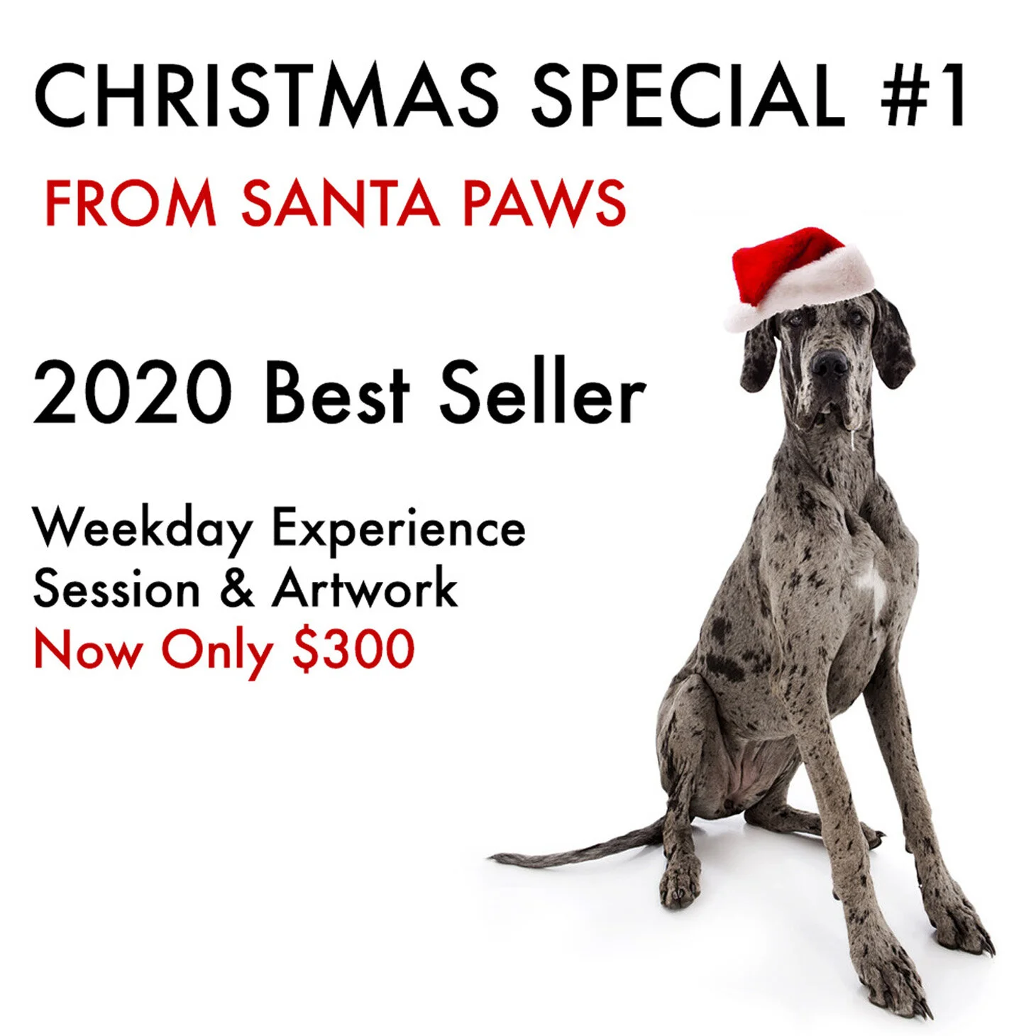 2020-xmasofferimagesquare copy.jpg