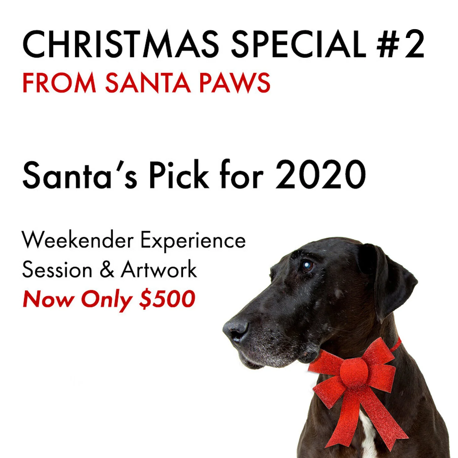 2020-xmasofferimagesquare300 copy.jpg