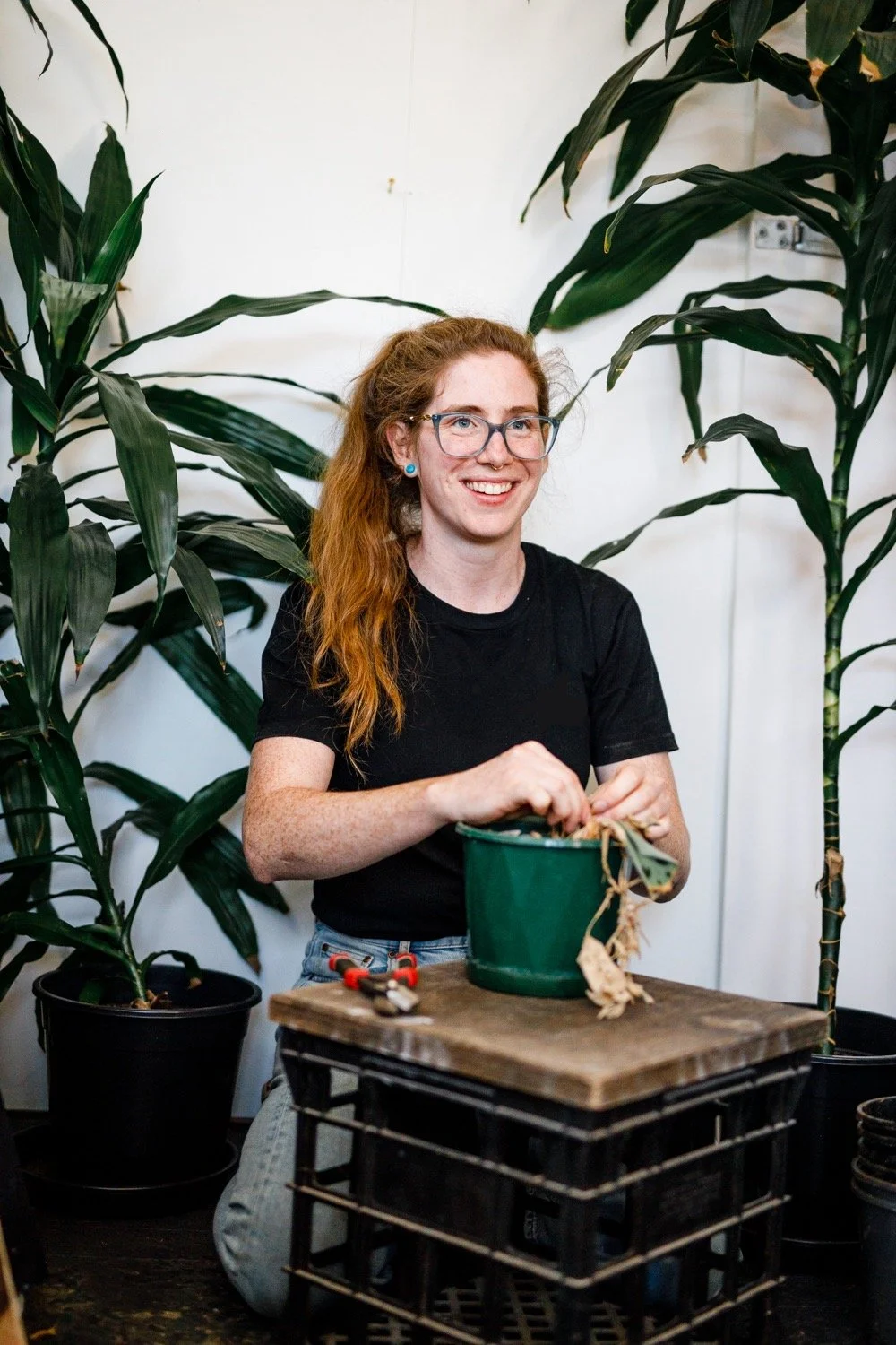 Indoor House Plants 101 Workshop | The Plant Doctor