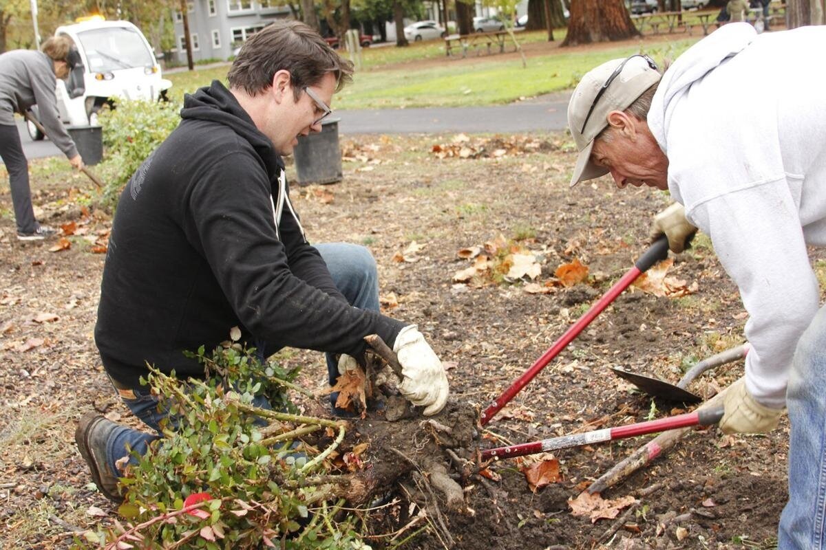 Arbor Day