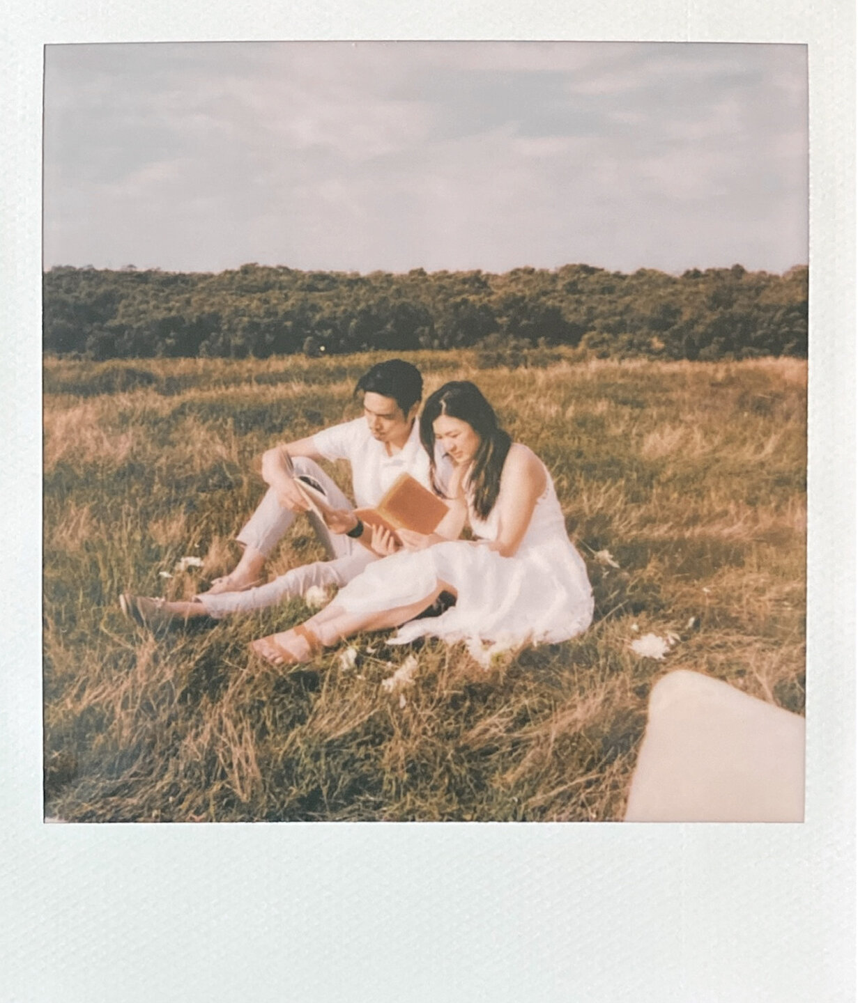 picnicpolaroids-3.jpg