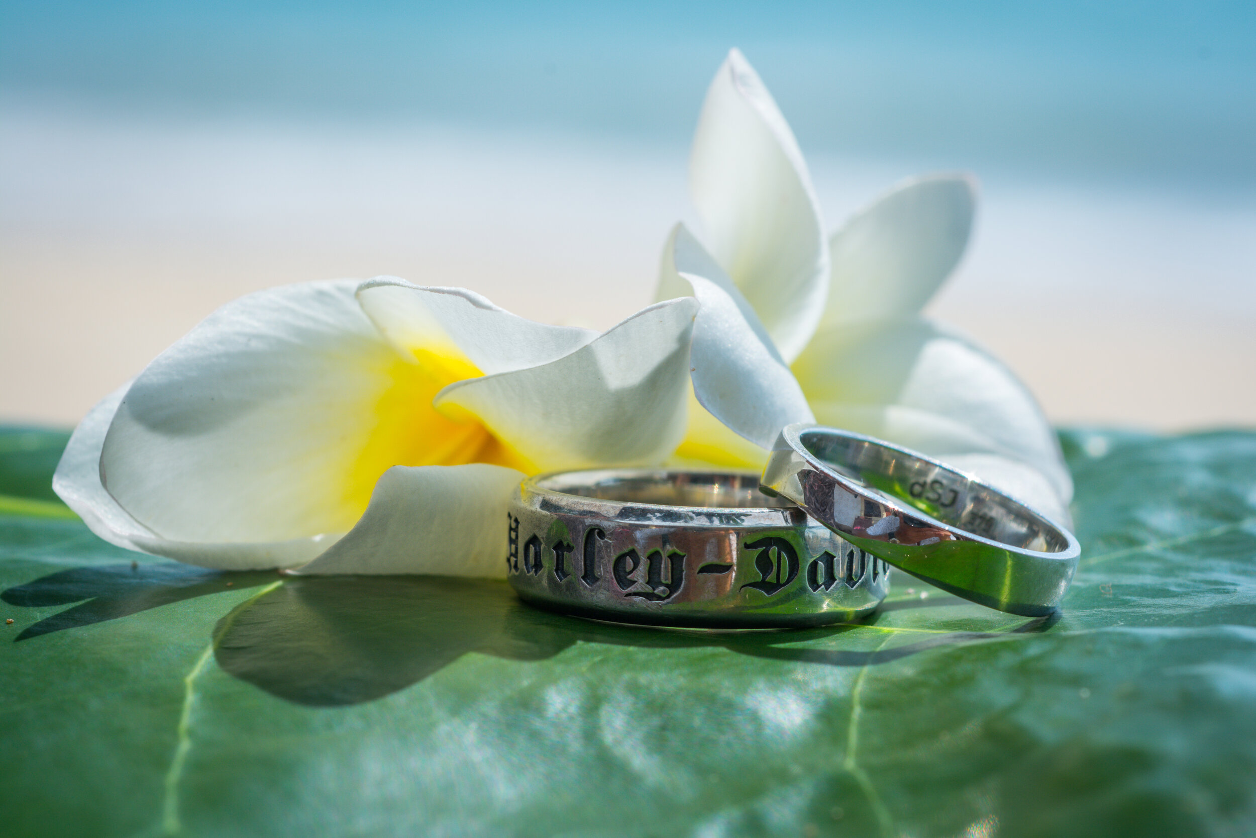 Harley Rings .jpeg