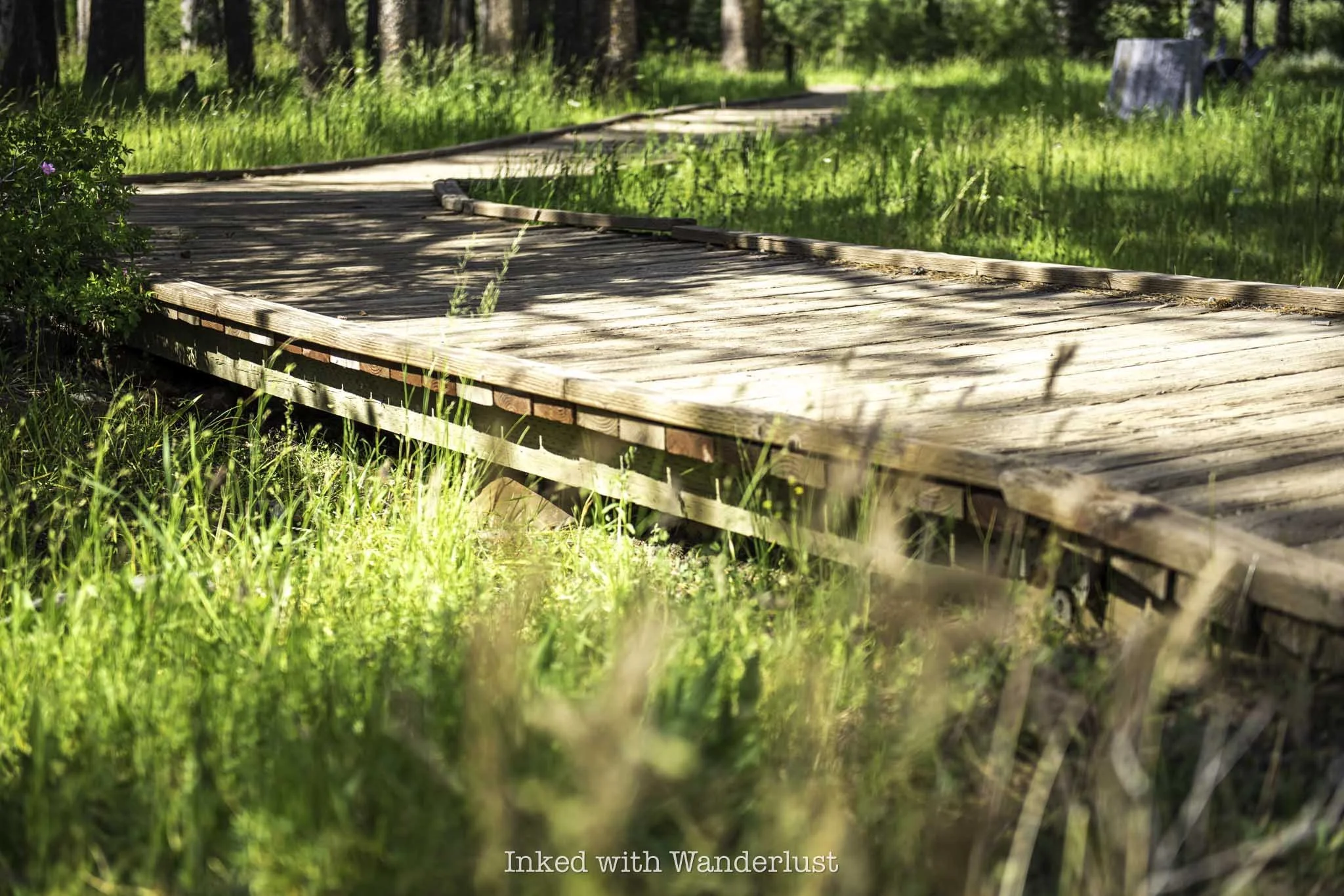The wooden boardwalk section of the Donner Camp Trail at Alder Creek.