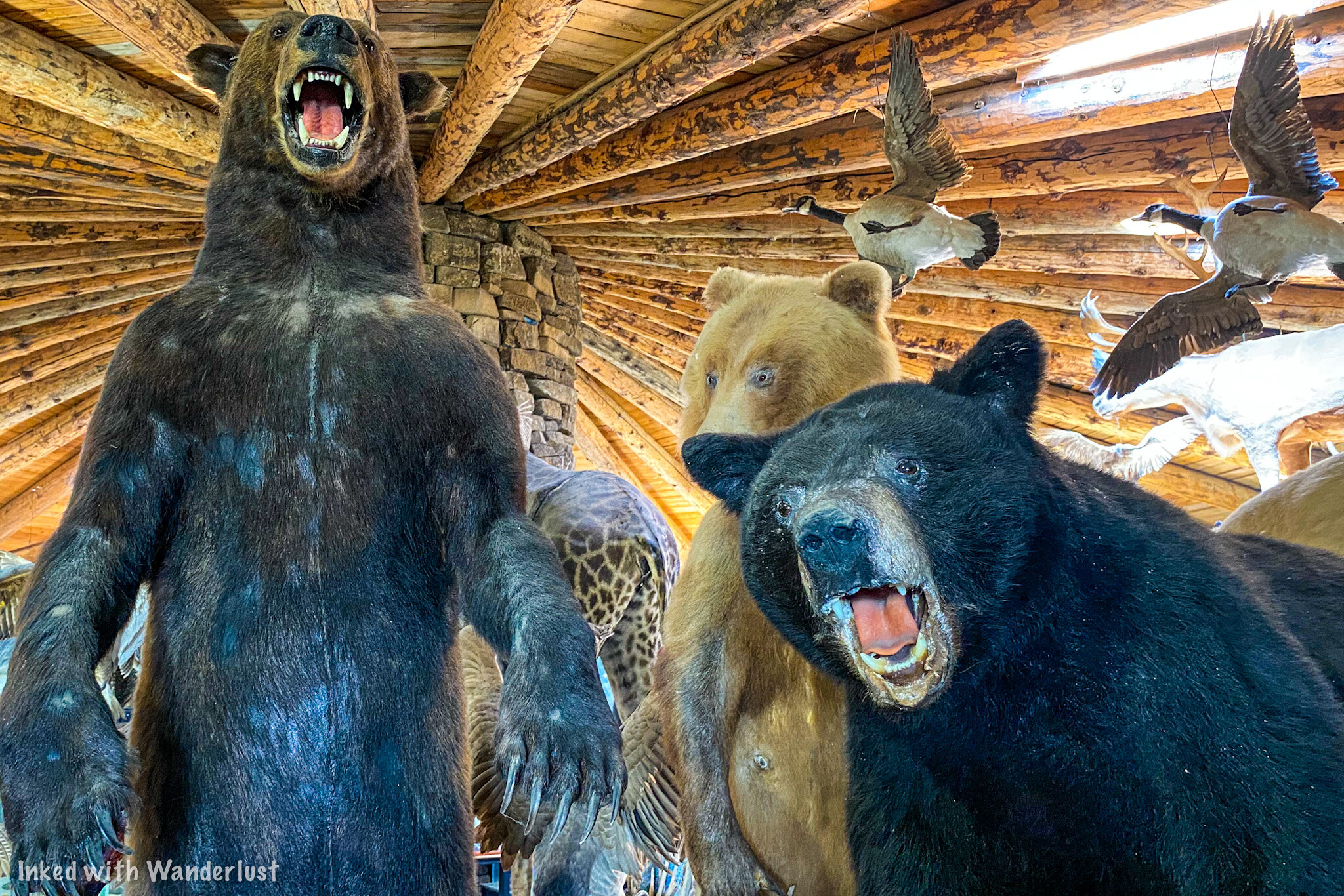 Idaho's Mammoth Cave: The Perfect Family Friendly Destination — Inked with Wanderlust Idaho's Mammoth Cave: The Perfect Family Friendly Destination — Inked with Wanderlust