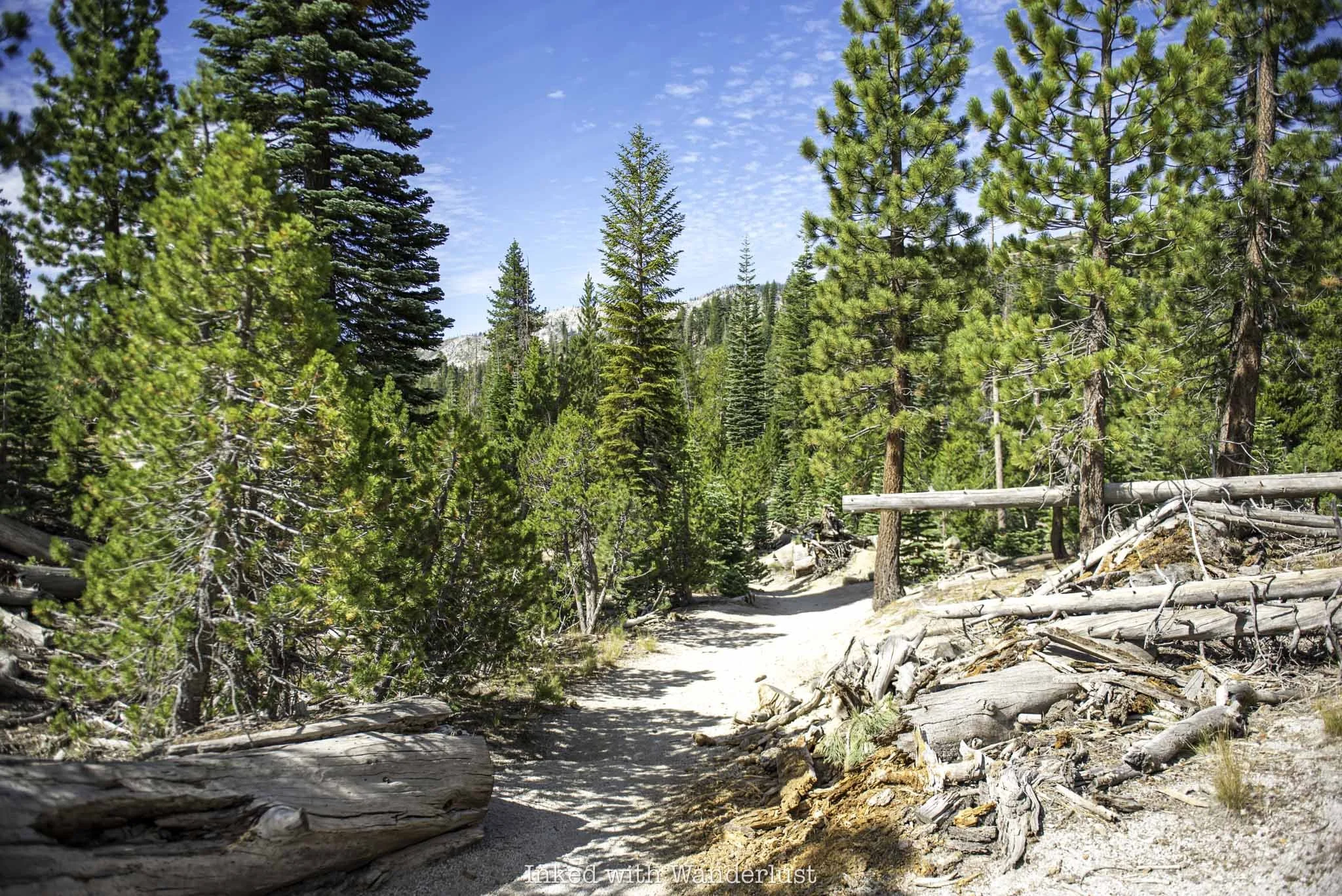 A section of the hiking trail leading towards Rainbow Falls.