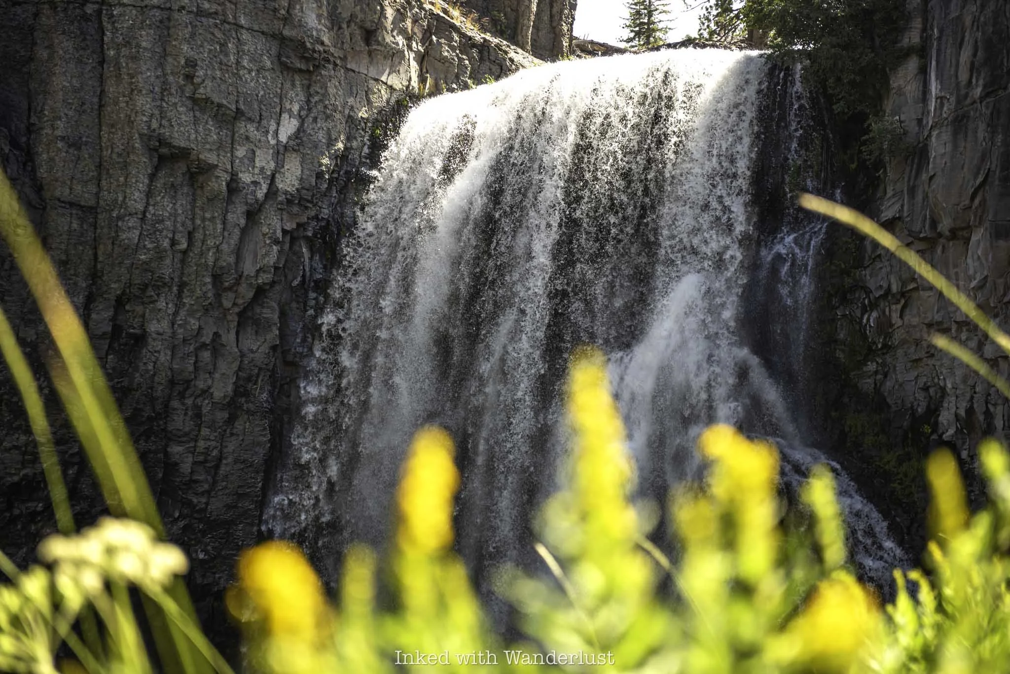A close up shot of Rainbow Falls in California with flowers in the foreground.