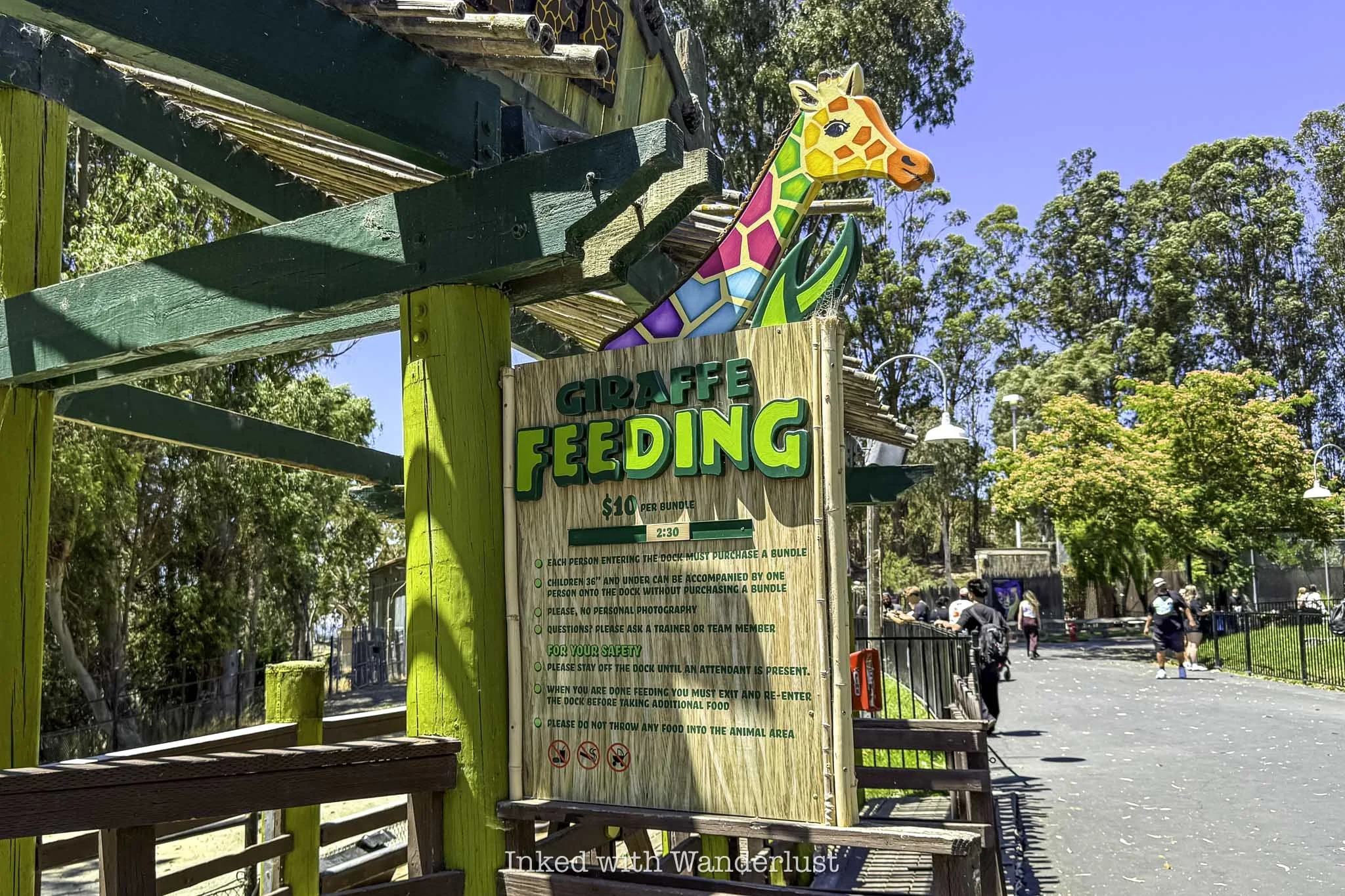 Giraffe feeding times at Six Flags Discovery Kingdom in Vallejo.