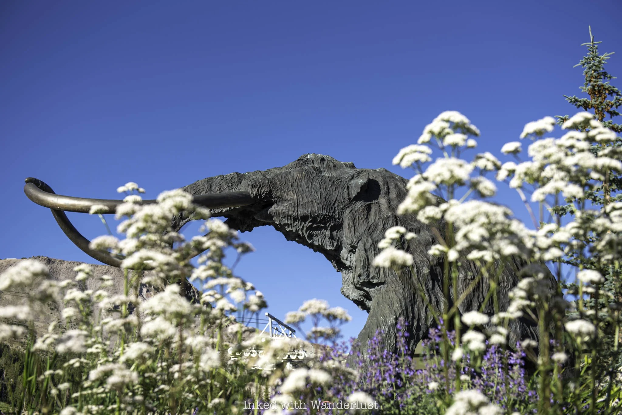 A statue of a woolly mammoth at Mammoth Mountain in Mammoth Lakes.