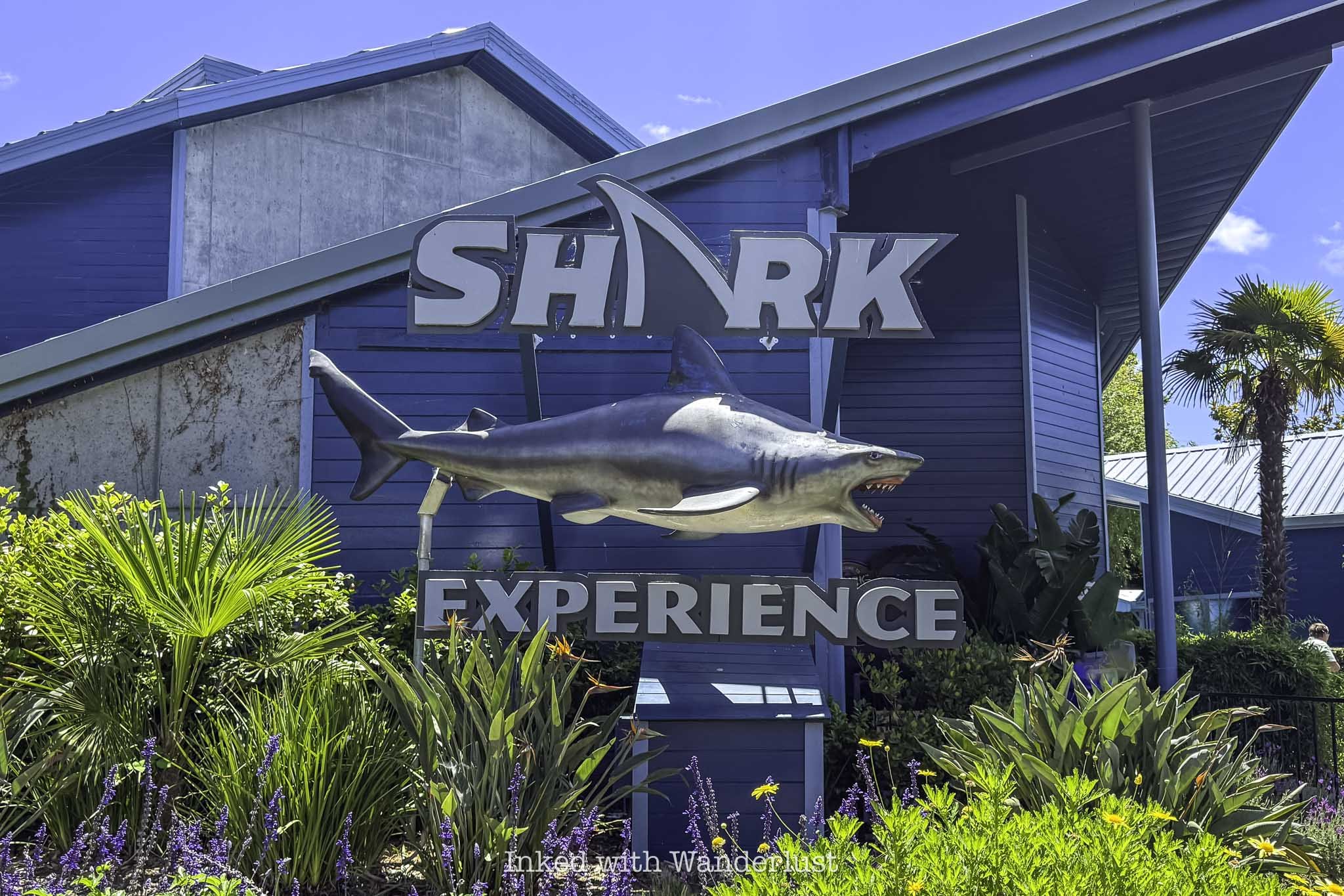 The exterior of Shark Experience at Six Flags Discovery Kingdom.