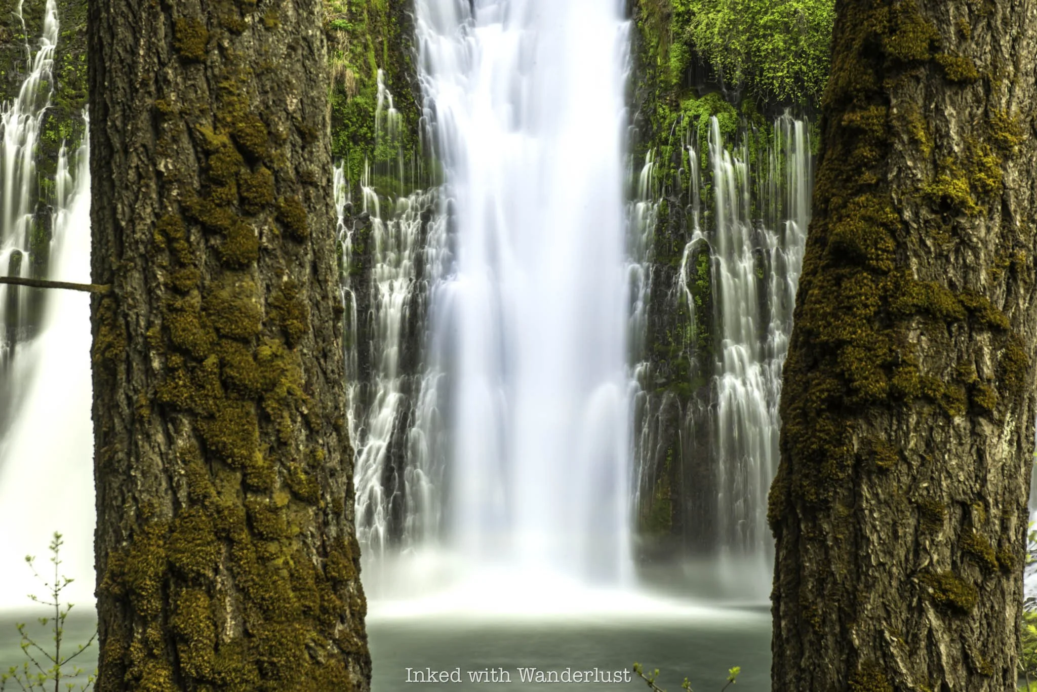 Burney Falls as viewed through two trees.