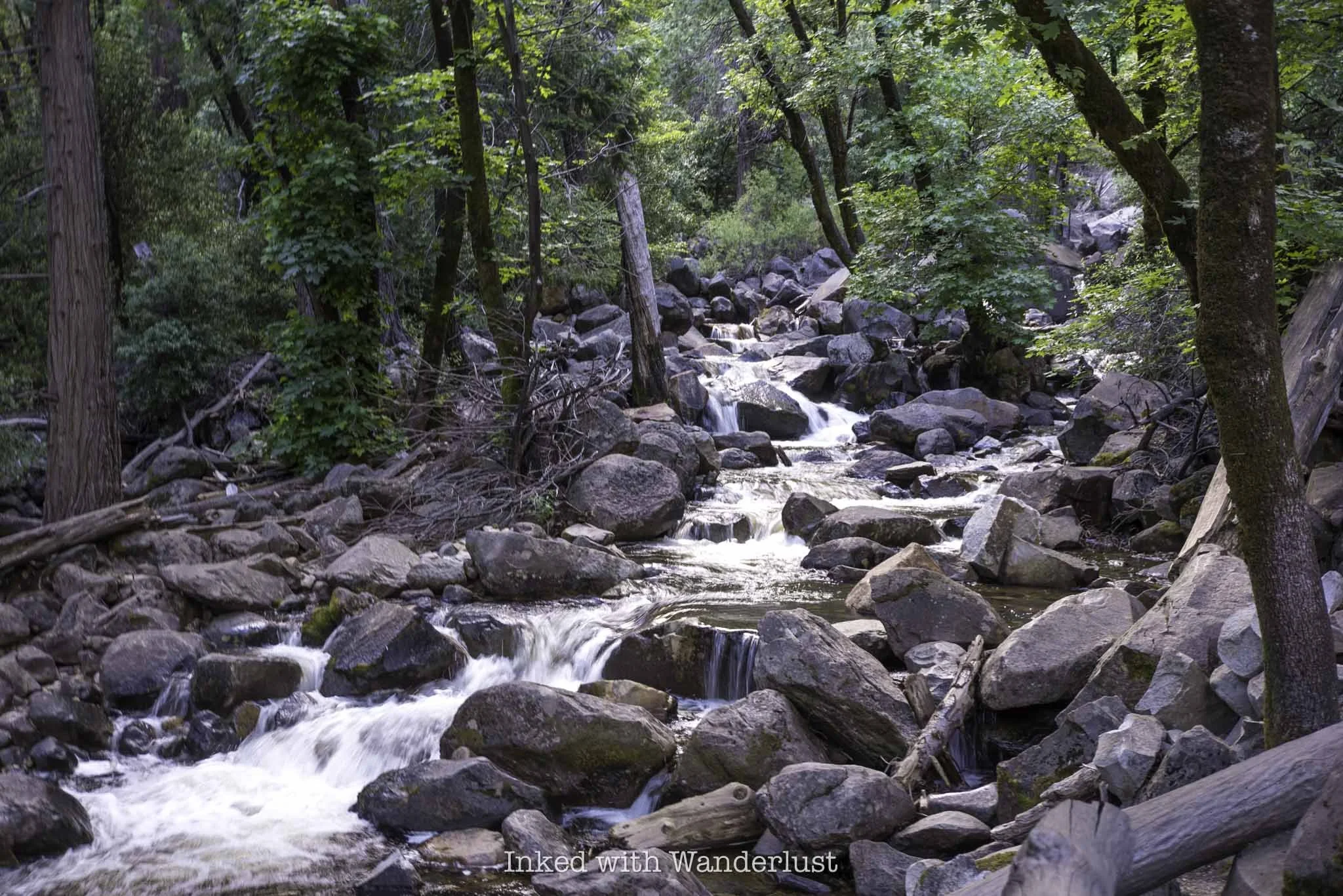 Bridalveil creek trail online