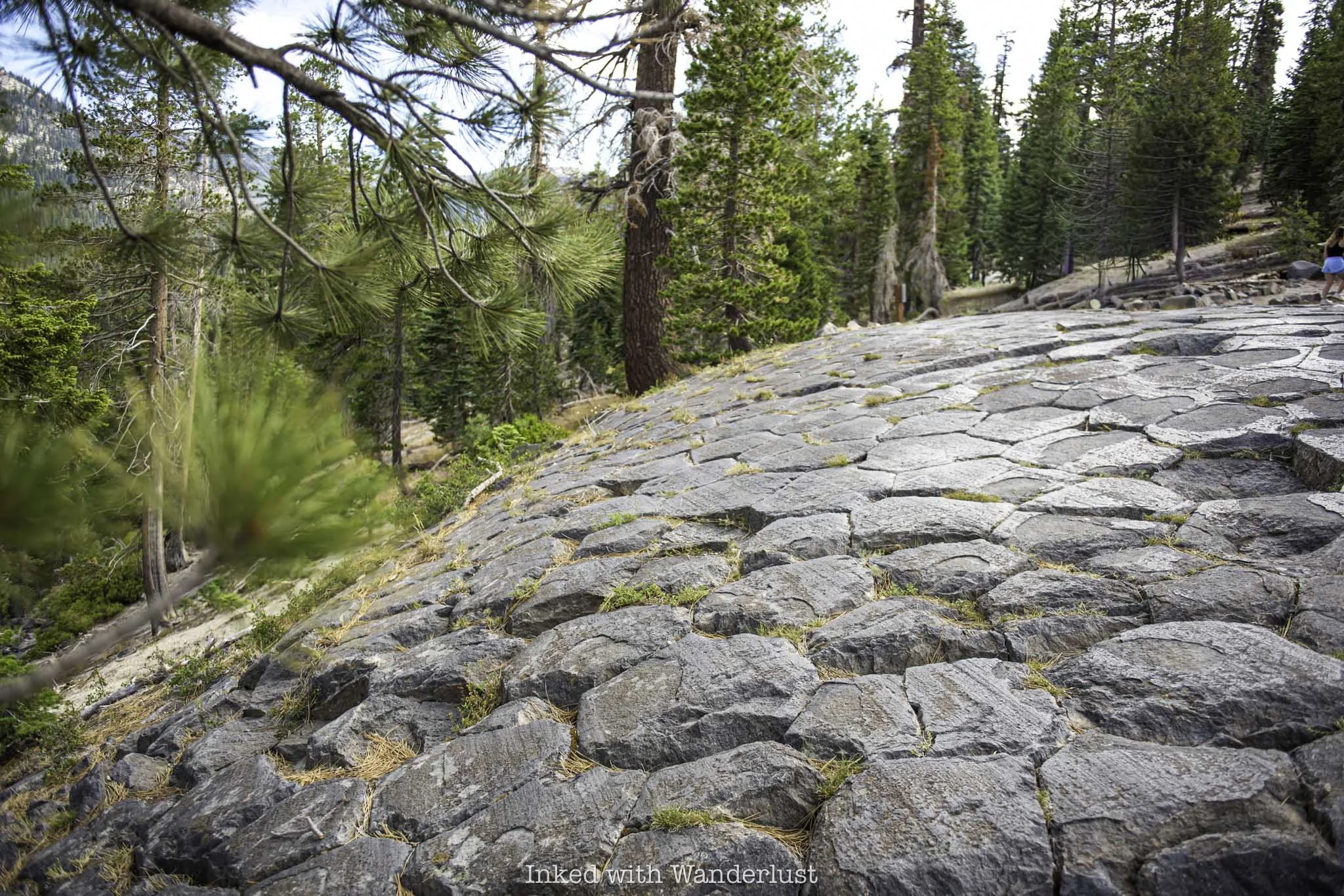 The top of Devils Postpile in California.