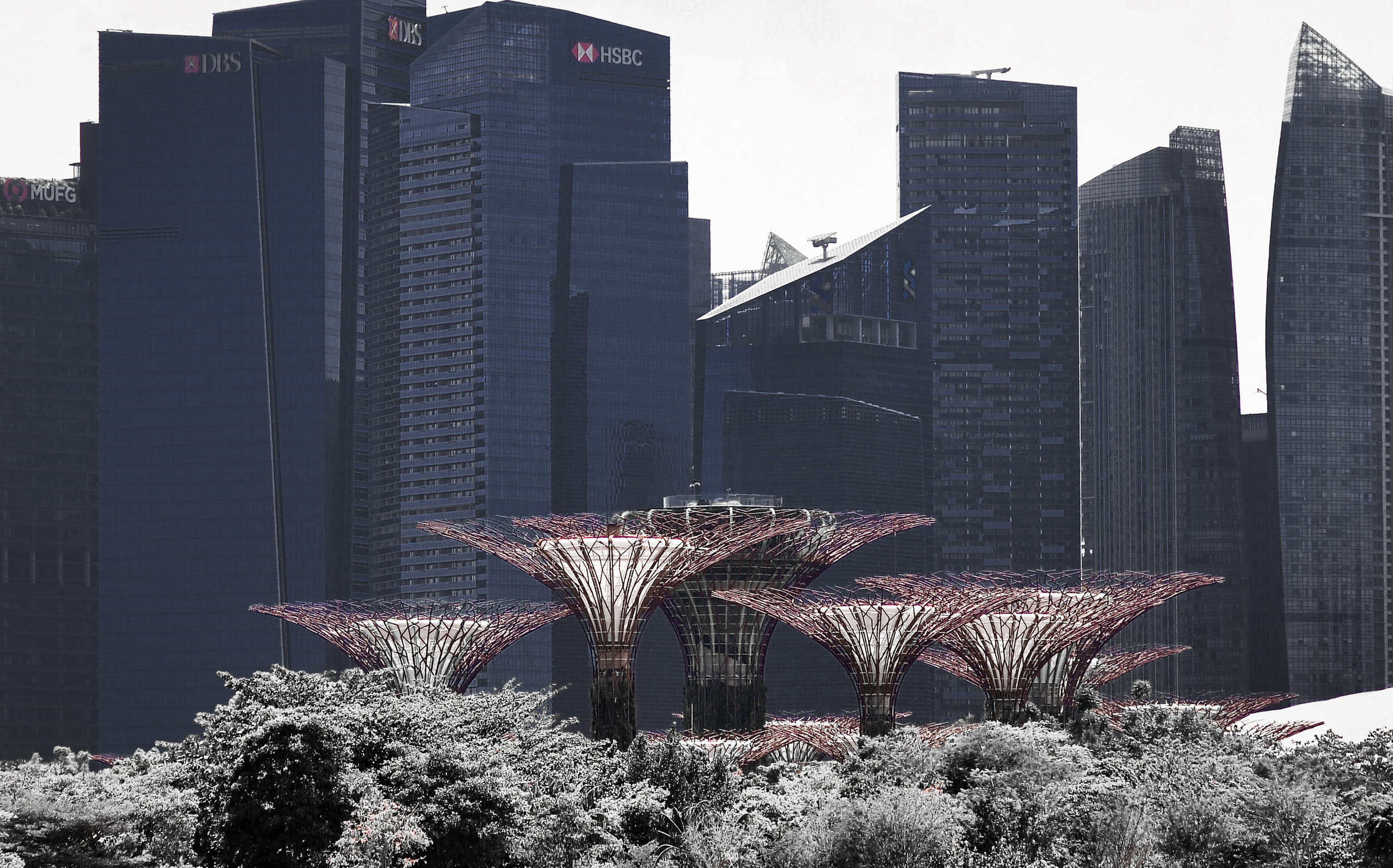 How a Singapore-based IoT Start-Up can help in the COVID-19 Battle