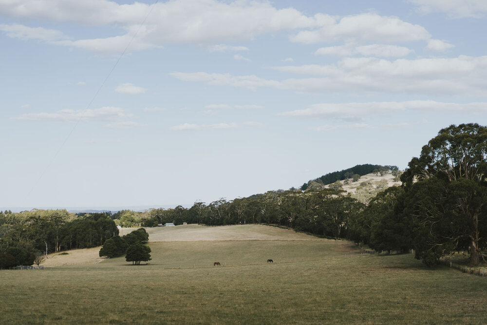 Natural-Wedding-Photography-Melbourne-092.jpg