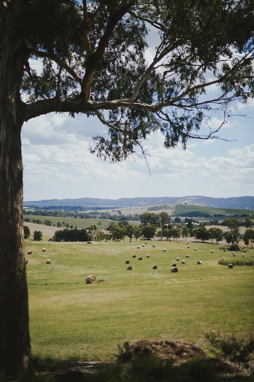 Yarra-Valley-Wedding-Getting-Ready-0025.jpg