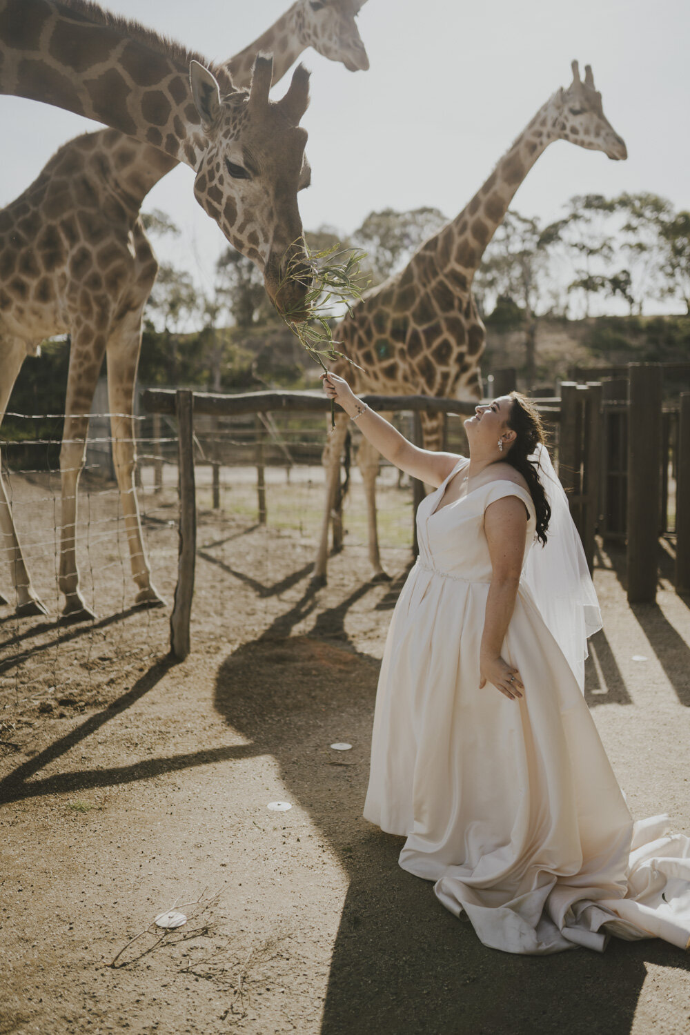 Zoo-Wedding.jpg