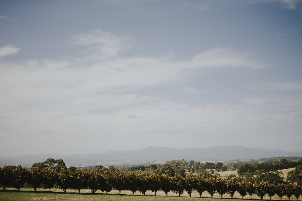 vines-of-the-yarra-valley-wedding-0035.jpg