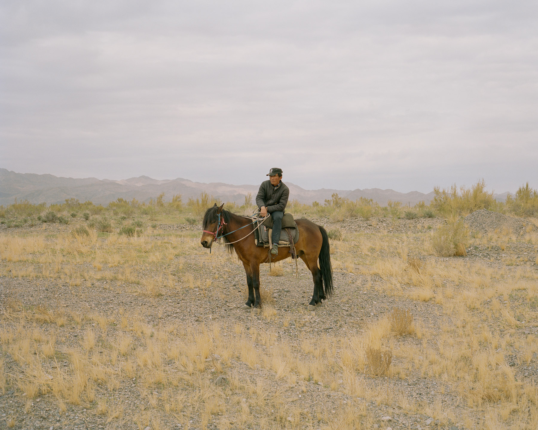  May 2017. Xinjiang province, China. Kazakh minority herdsman on his horse tending to his herd of goats in the Northwestern part of the Chinese province of Xinjiang near the border with Kazakhstan. 