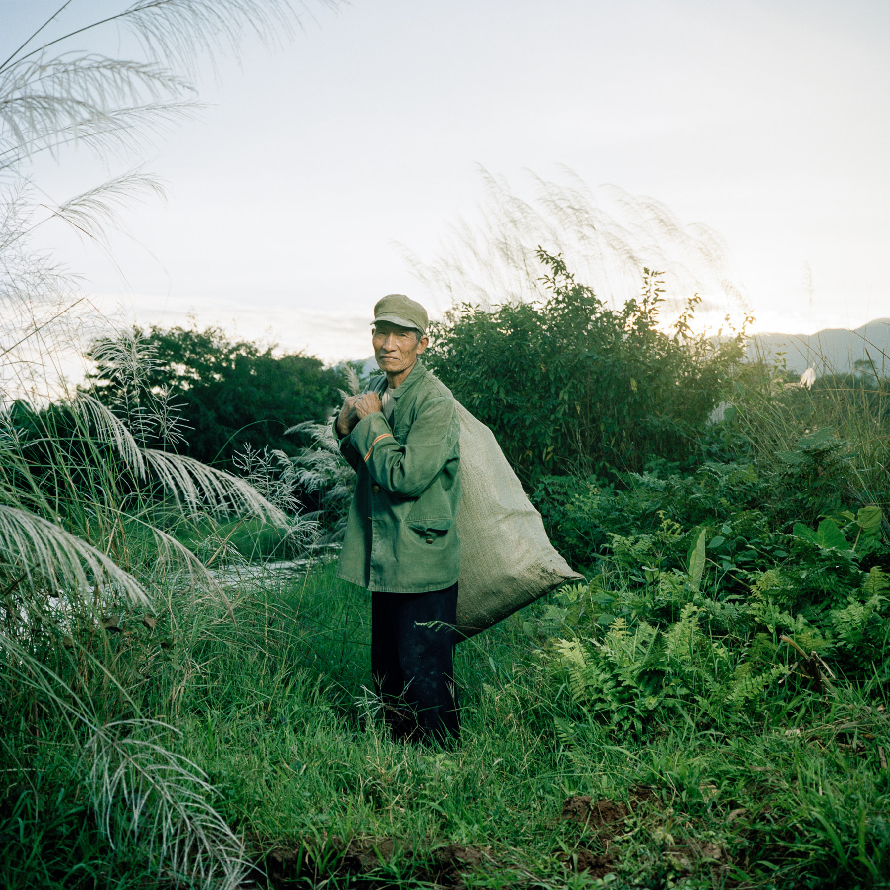  China, Yunnan province. Southern region of Xishuangbanna. Old Dai Minority man pictured coming back from a day's harvesting. 