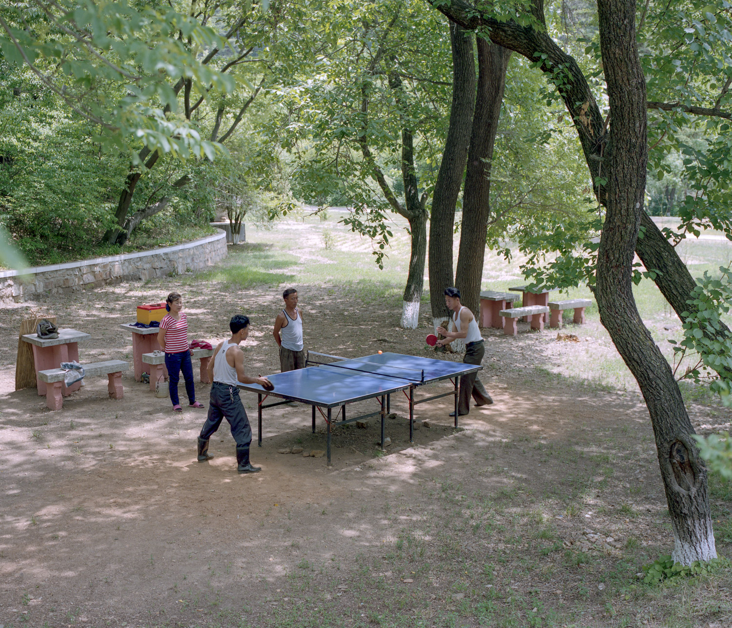  Enjoying a game of table tennis in a parc of the Sariwon province. 