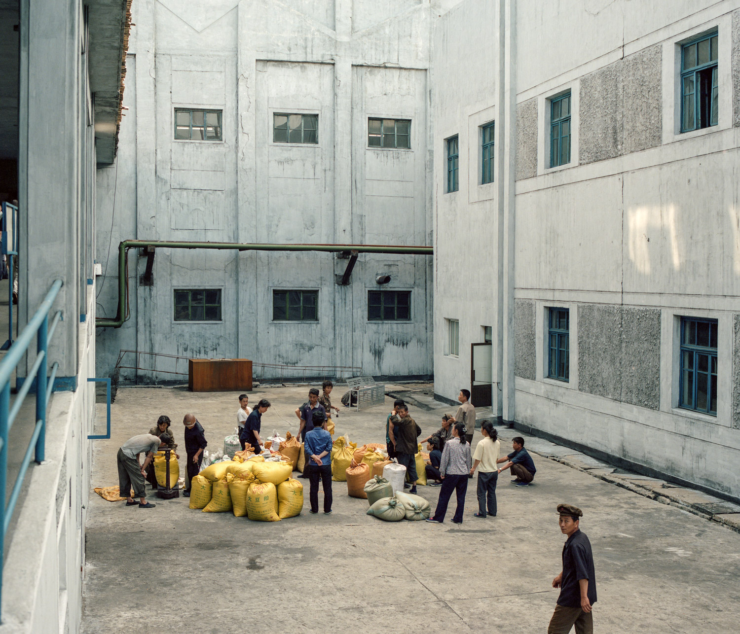 Workers gathering grains in a factory in Hamhung. 