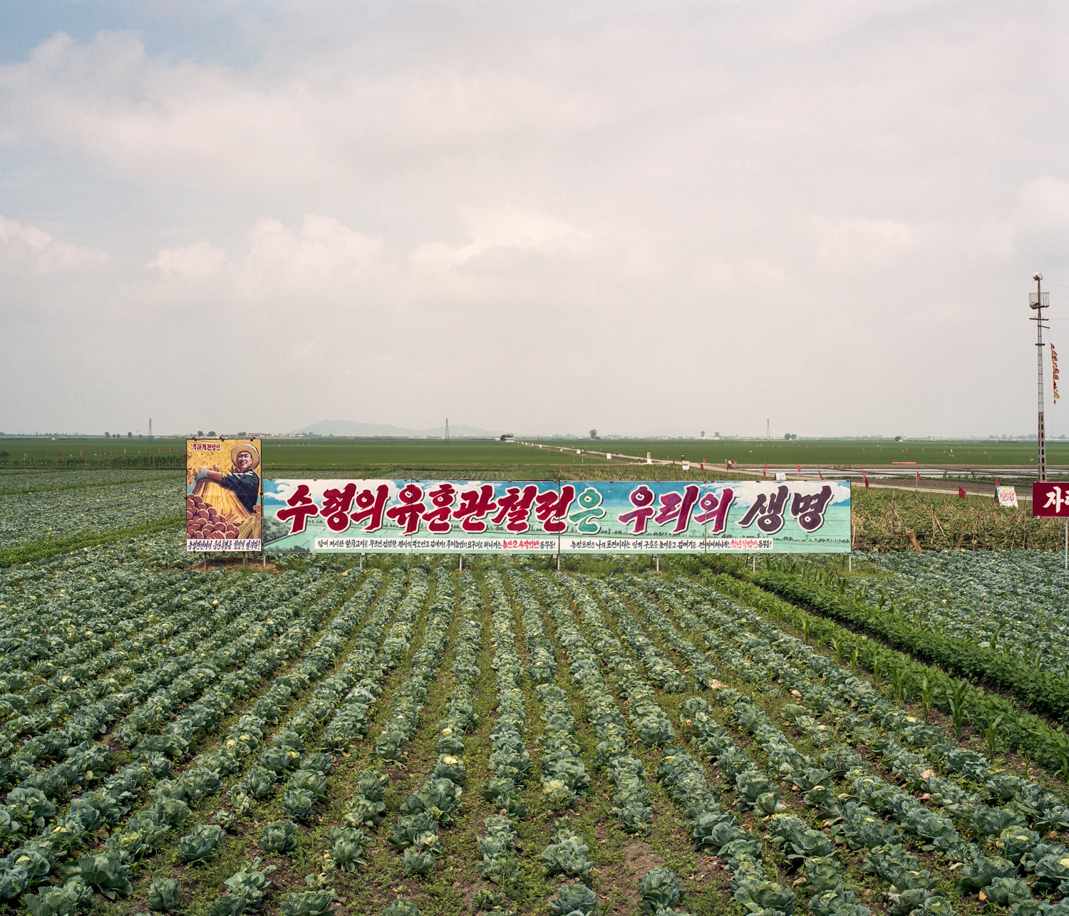  Propaganda Banner in a collective farm in the Sariwon region. 
